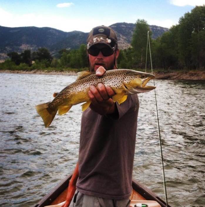 Rainbows, Browns, Brook Trout and More!