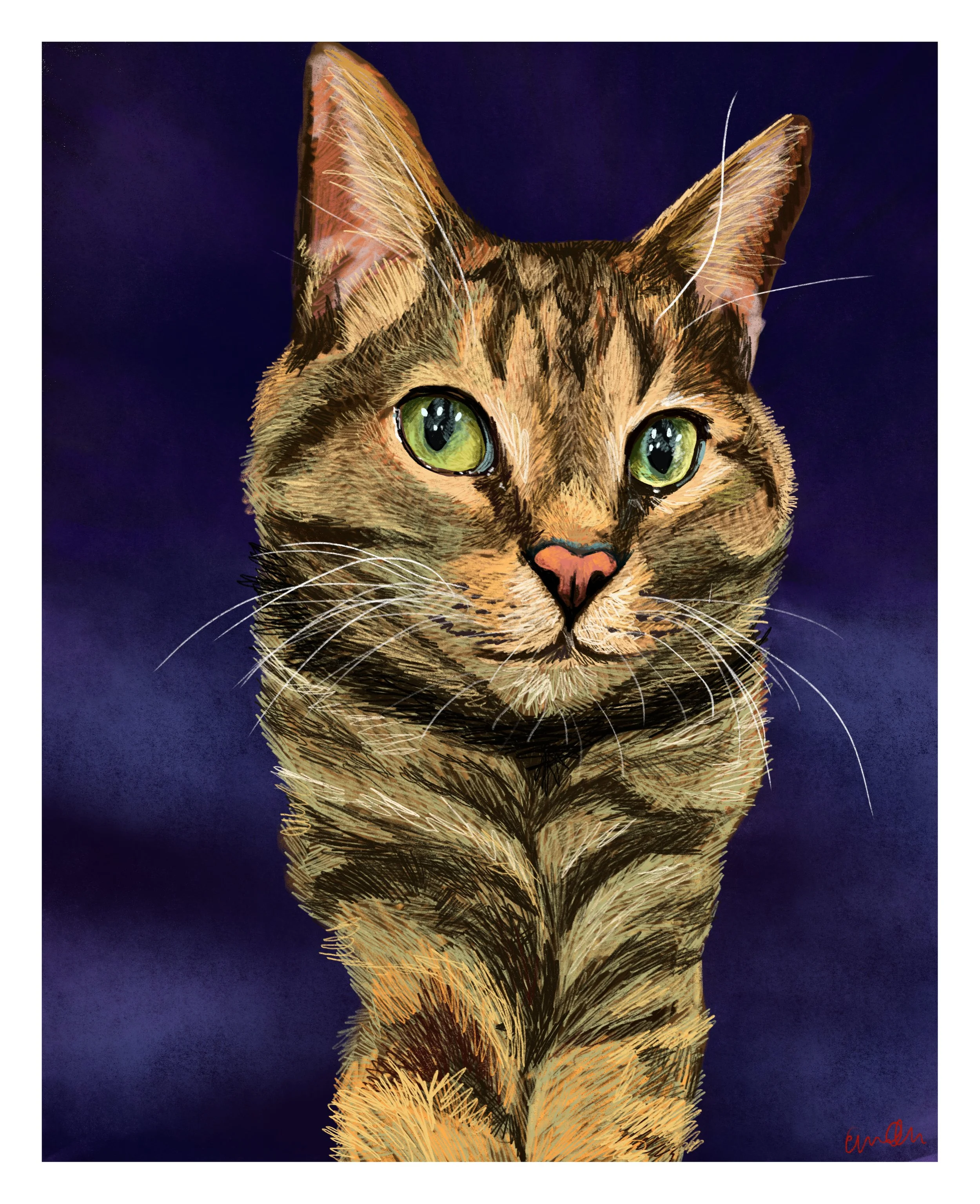 cat3.jpg