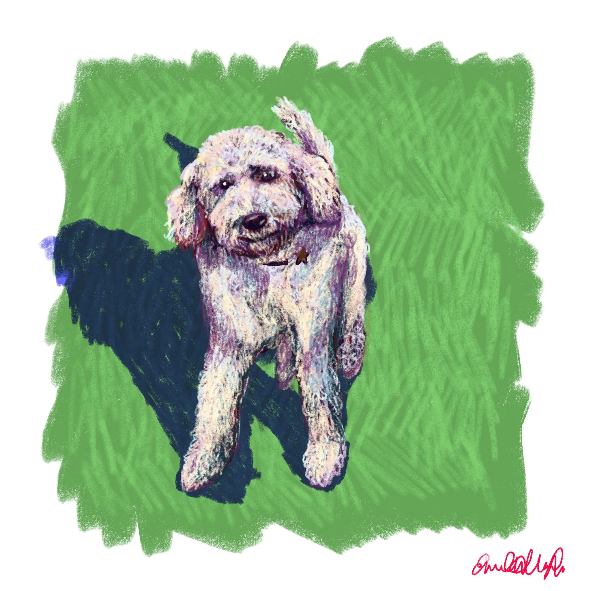 Untitled_Artwork 25.jpg