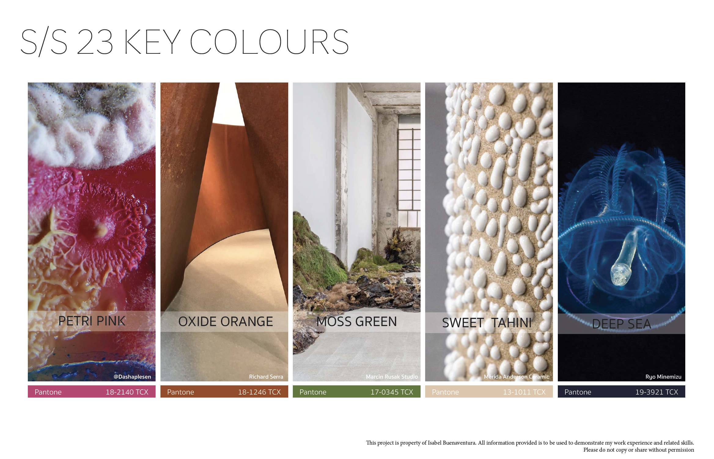 Screen Shot 2022-02-07 at 3.07.02 PM.png