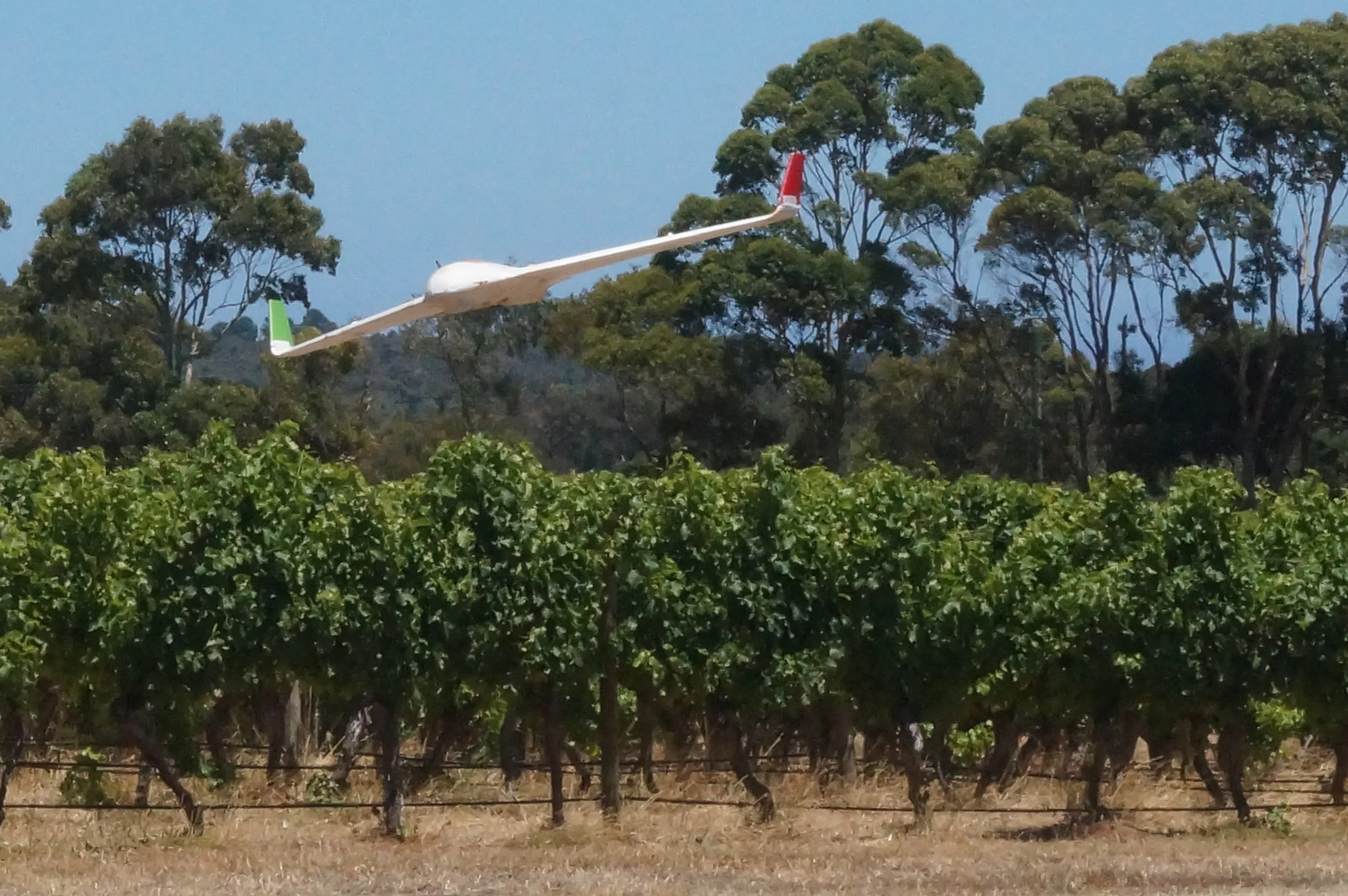 Multispectral Imaging Trial for Precision Viticulture