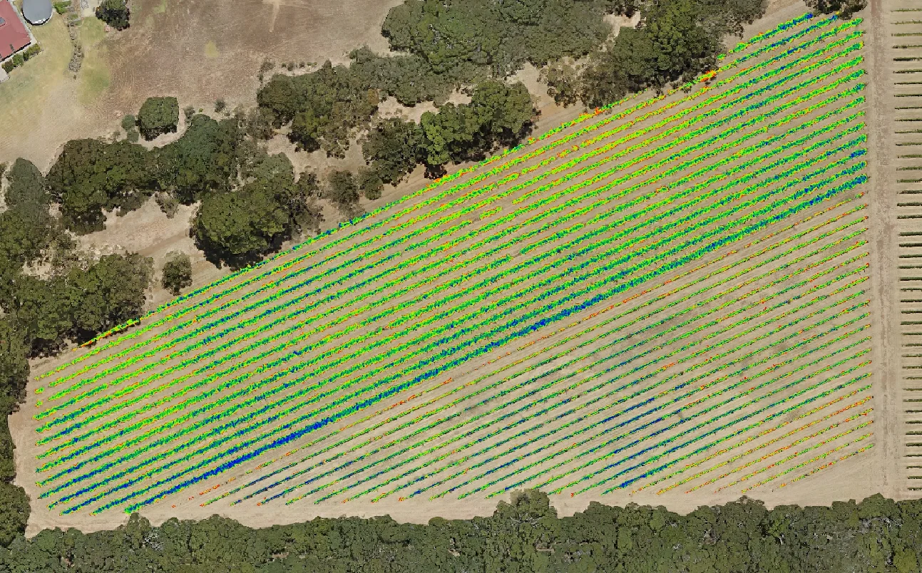 Plant cell density (PCD) index - a measure of vine "vigour"