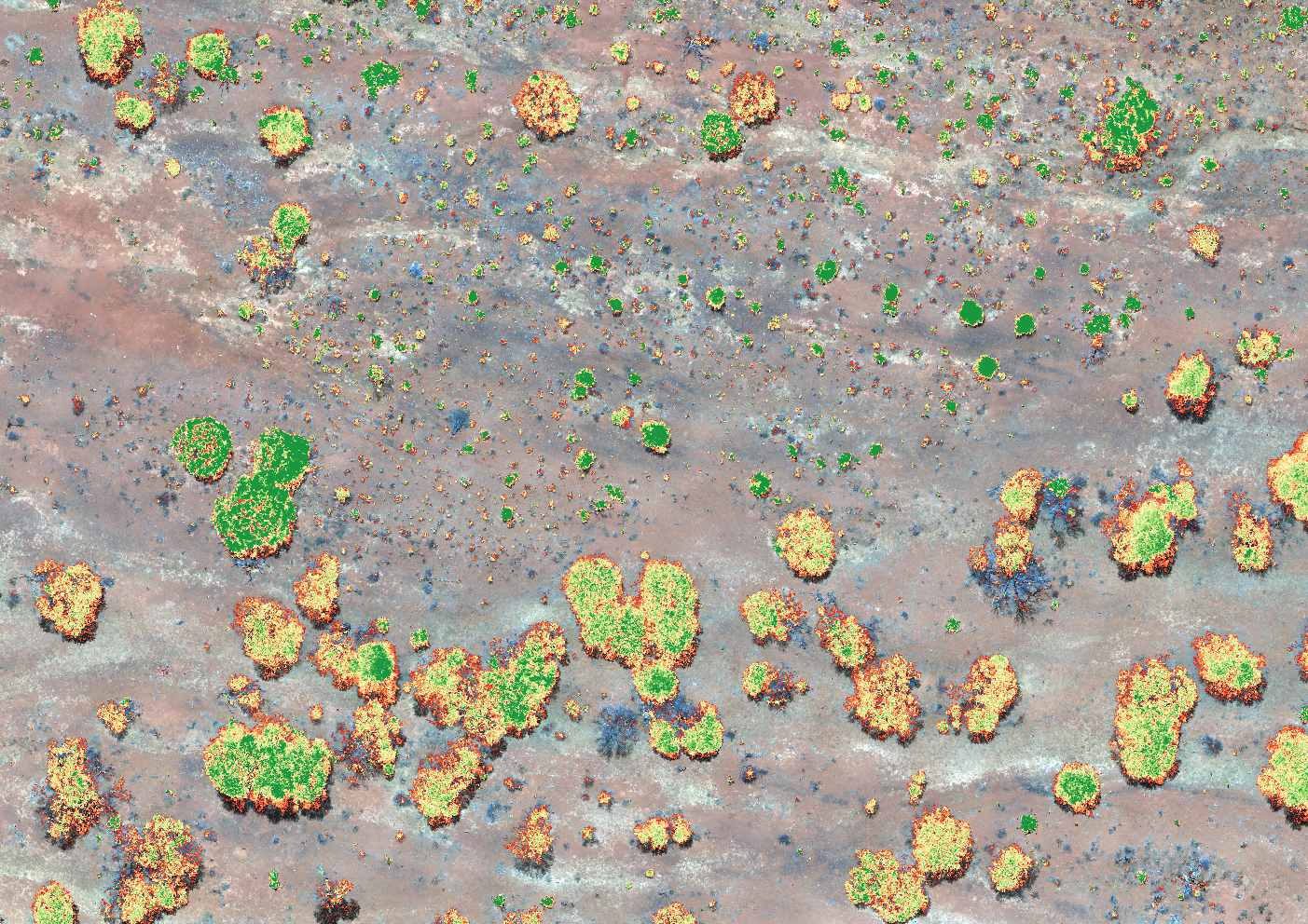 Cacti_RGB_NDVI.png