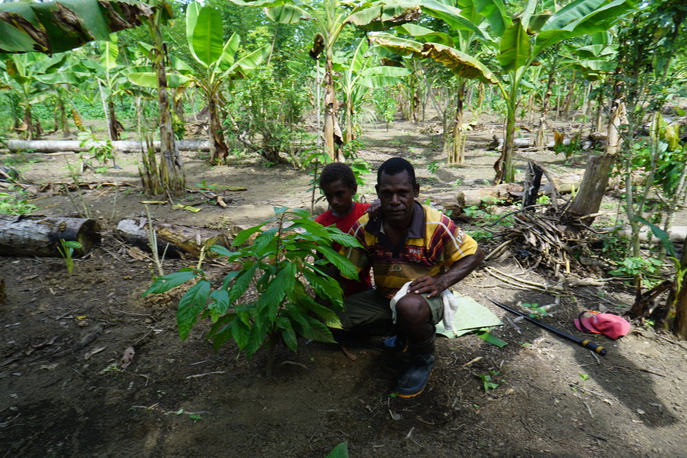 Middle Ramu Cocoa Farmer