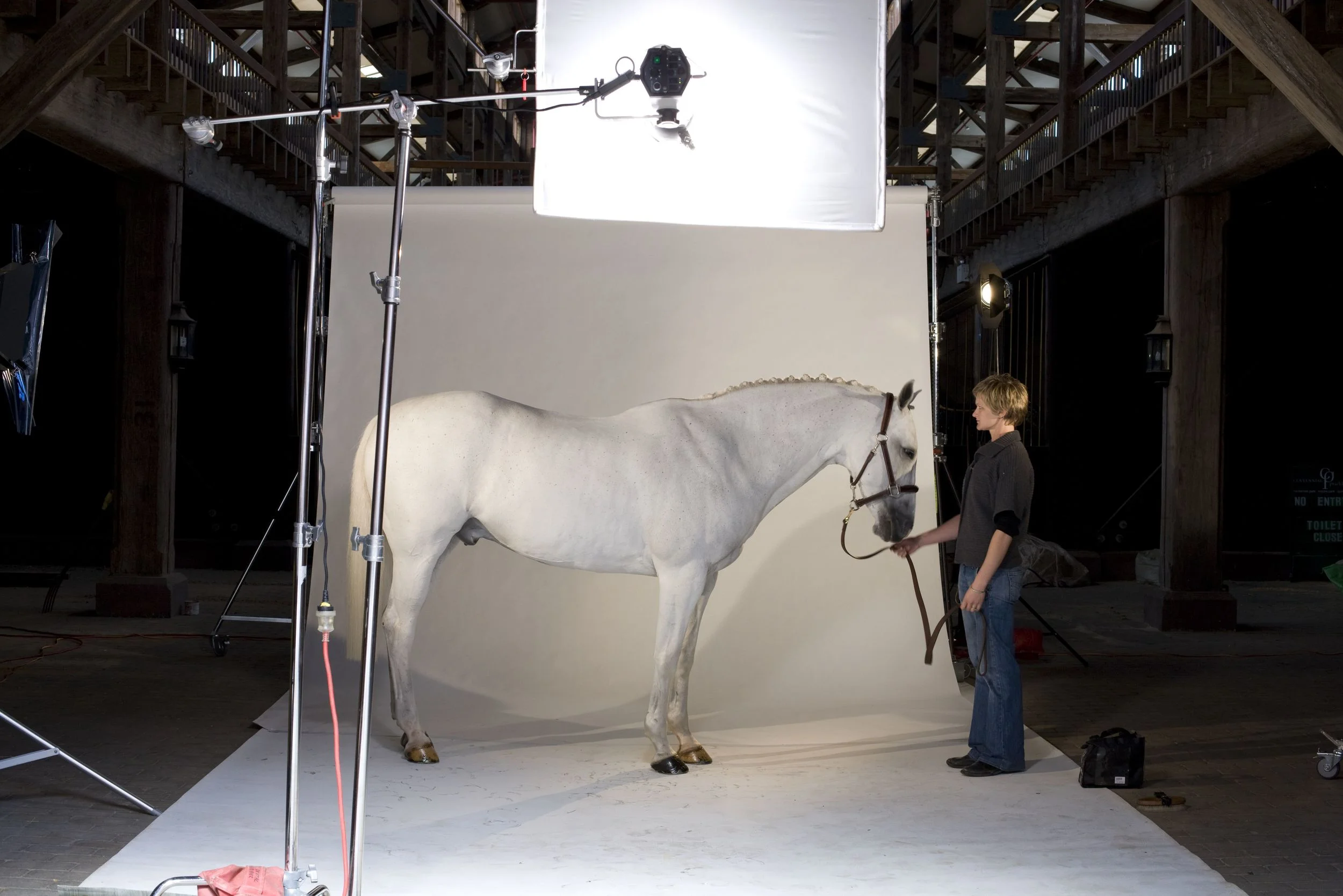 Max (RIP), one of Palomine Productions' foundation equine superstars. This shot was taken from behind the scenes of the Grazia Hot to Trot feature in 2009.