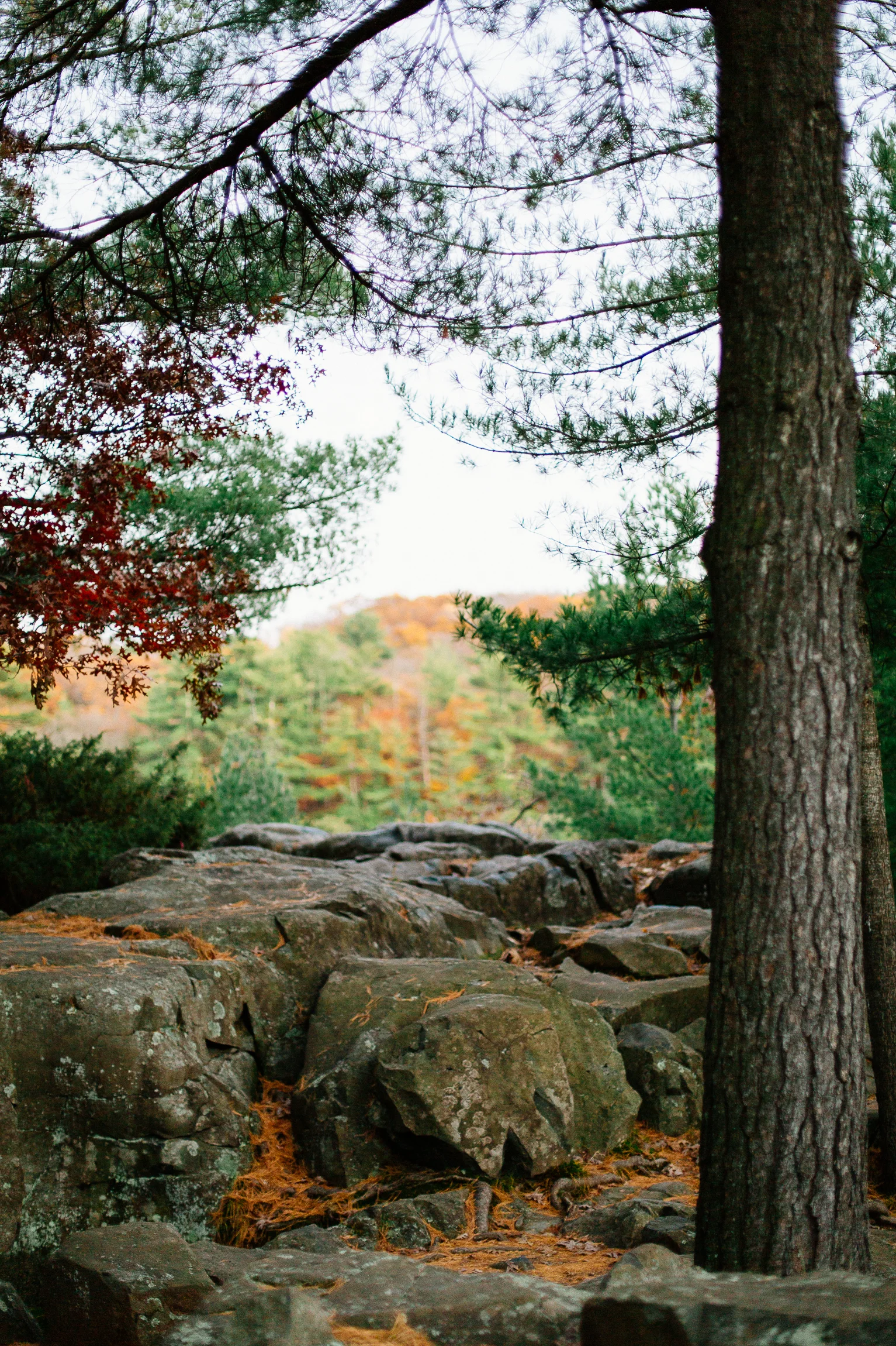 Jen_Montgomery_Photography_JAengage5 (59 of 67).jpg