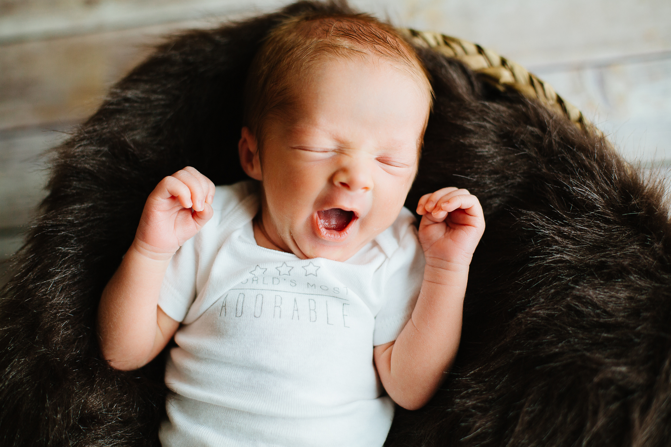 Jackson & Leonard | Newborns