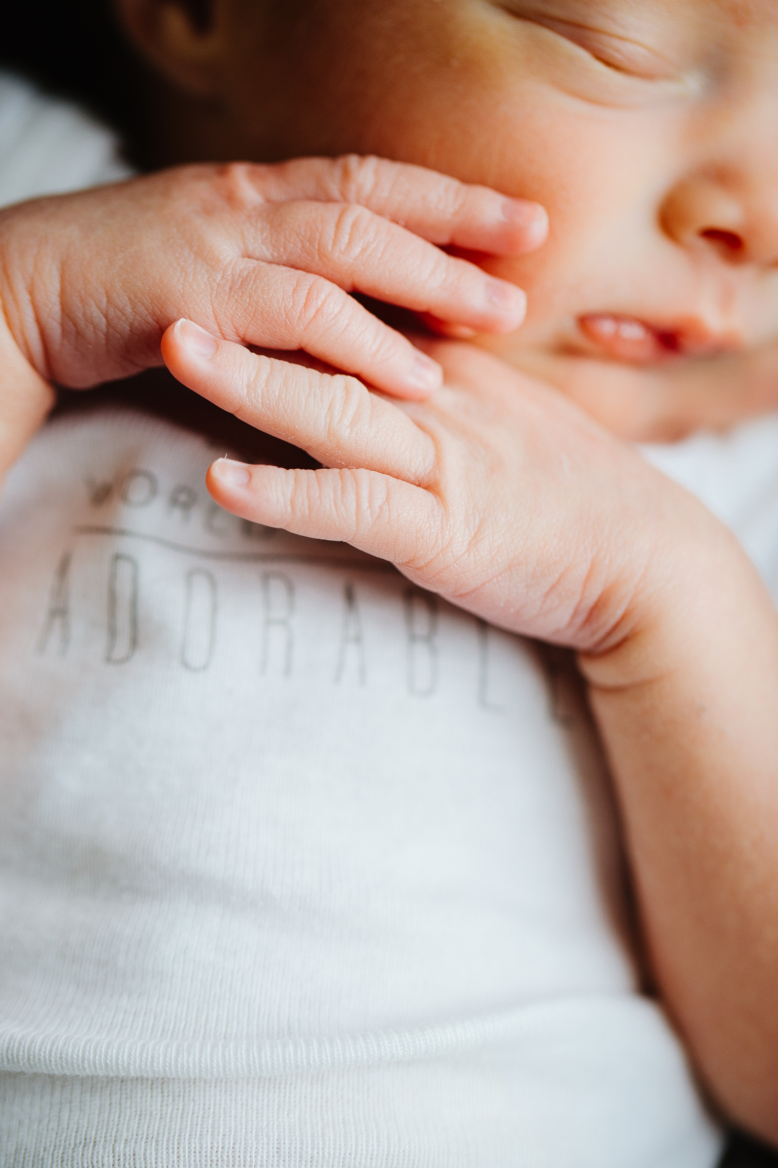 Jackson & Leonard | Newborns