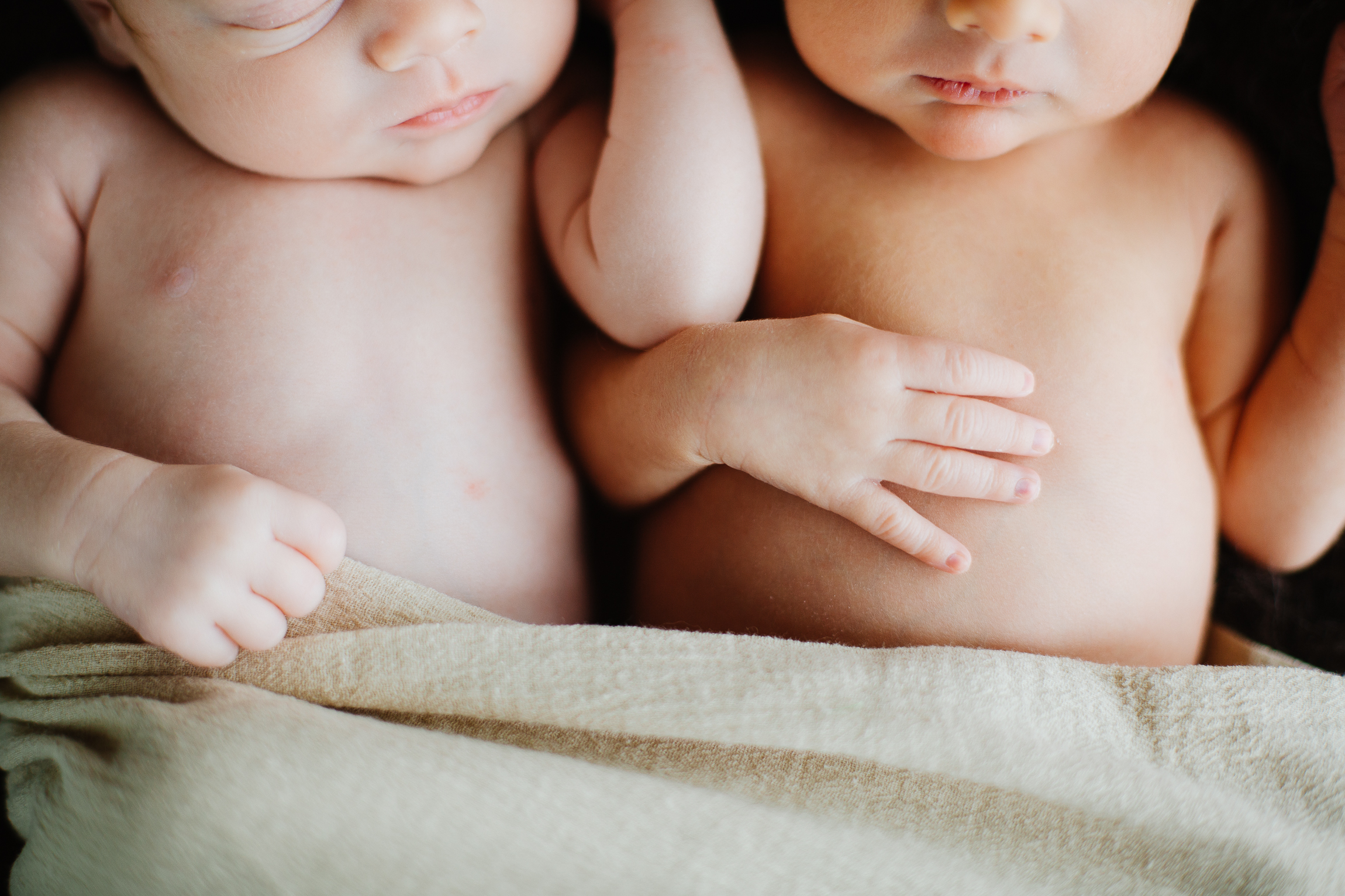 Jackson & Leonard | Newborns