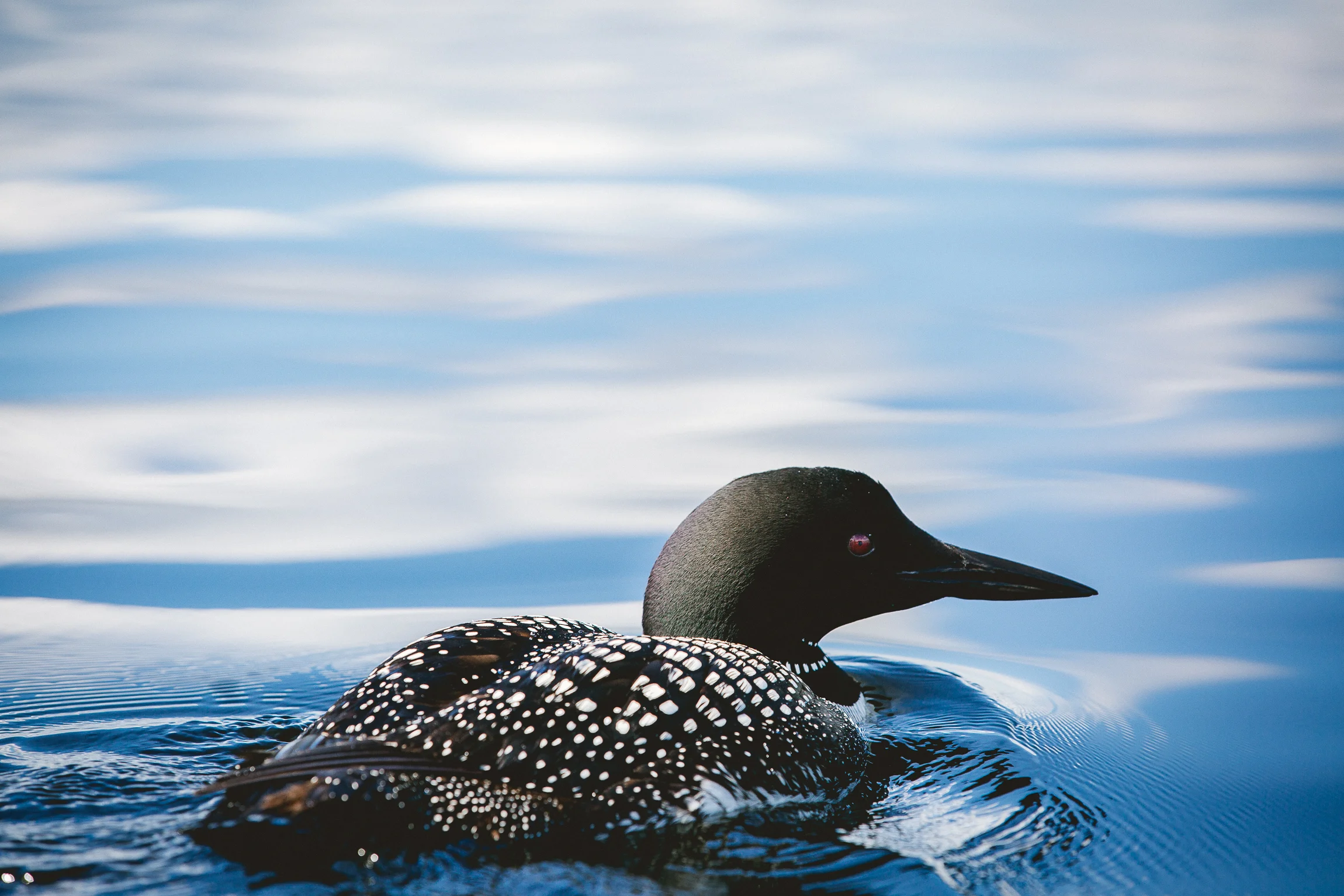 Jen_Montgomery_Photography_Boundary_Waters-9.jpg