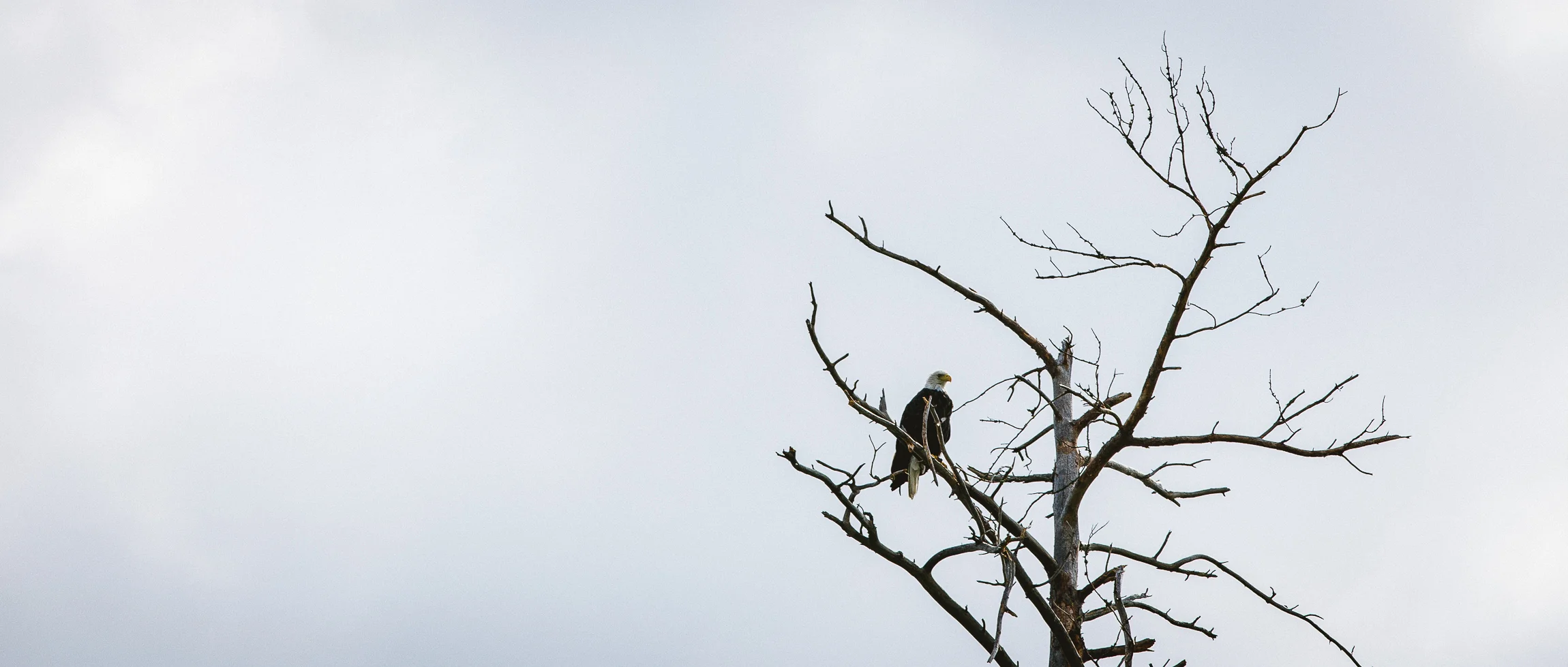 Jen_Montgomery_Photography_Boundary_Waters-32.jpg