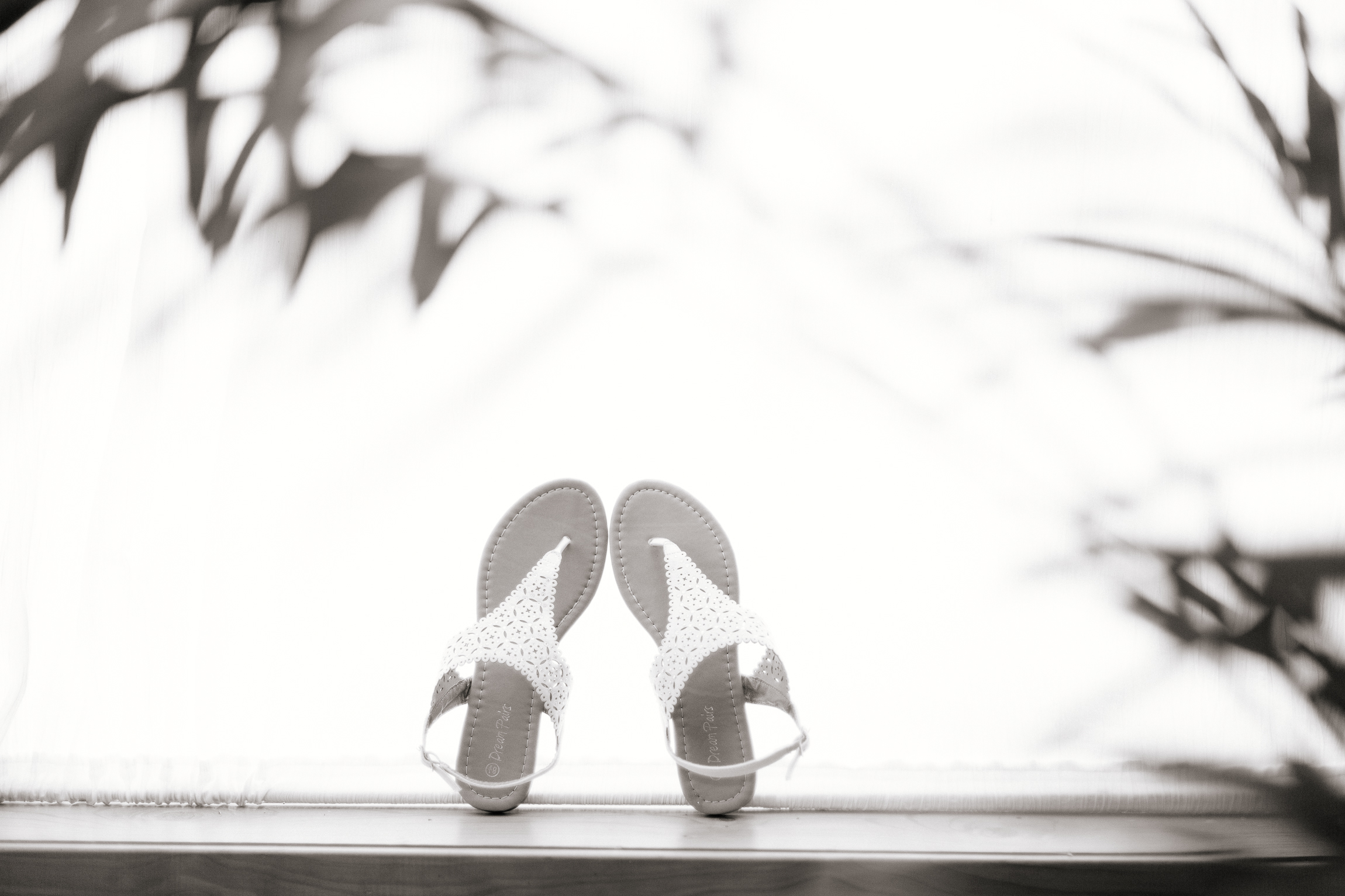 Jen_Montgomery_Photography_hpfb-12.jpg