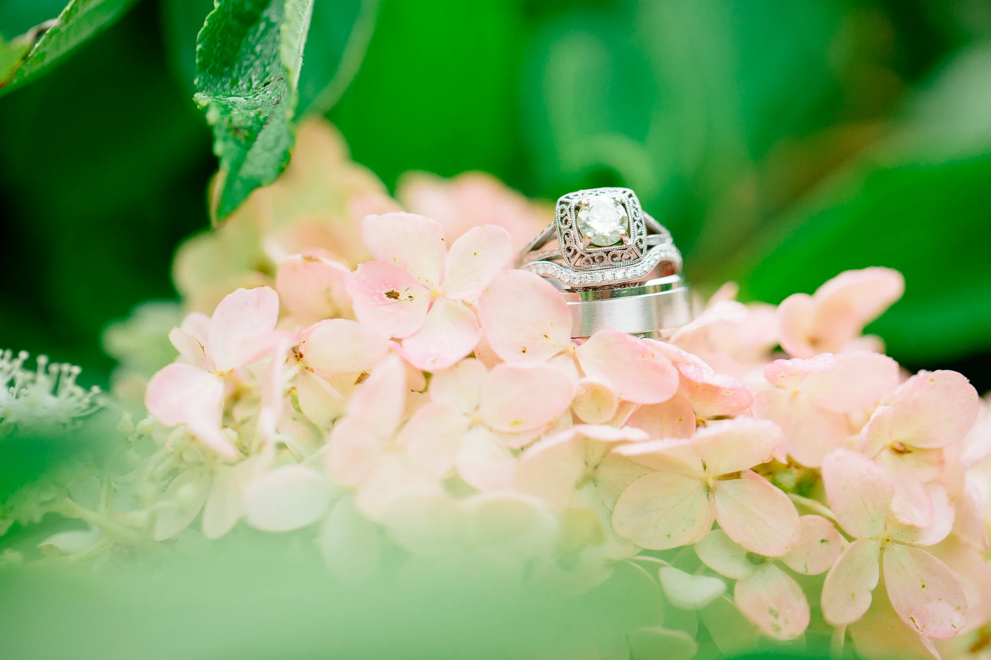 Jen_Montgomery_Photography_DanAllissaWedding-120.jpg