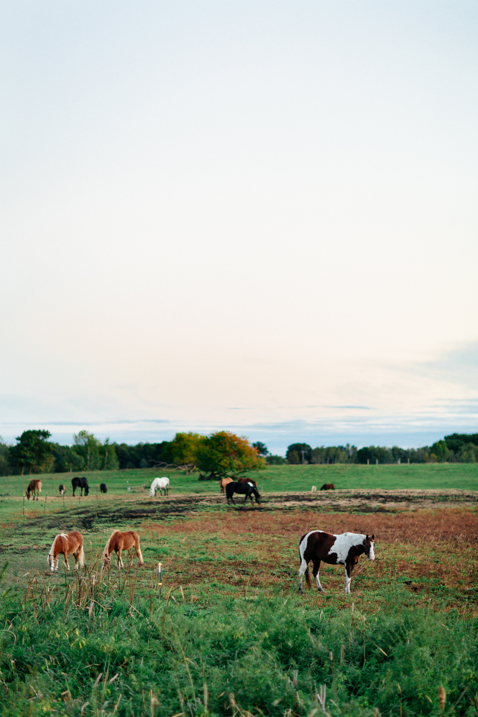Jen_Montgomery_Photography_TorryBlog-2.jpg
