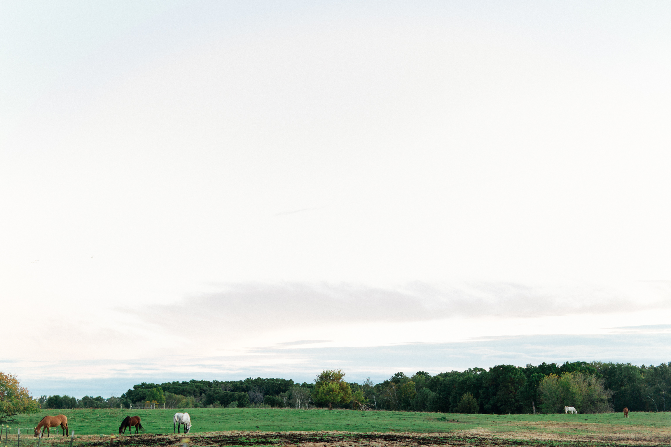 Jen_Montgomery_Photography_TorryBlog-12.jpg