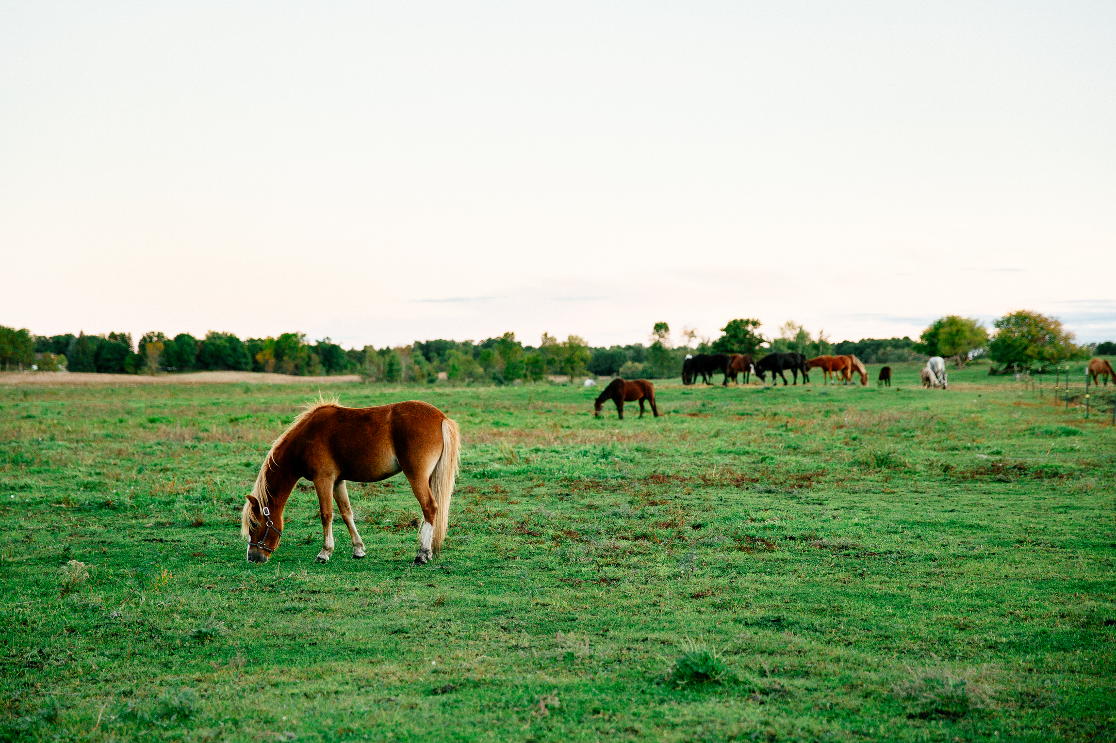 Jen_Montgomery_Photography_TorryBlog-24.jpg