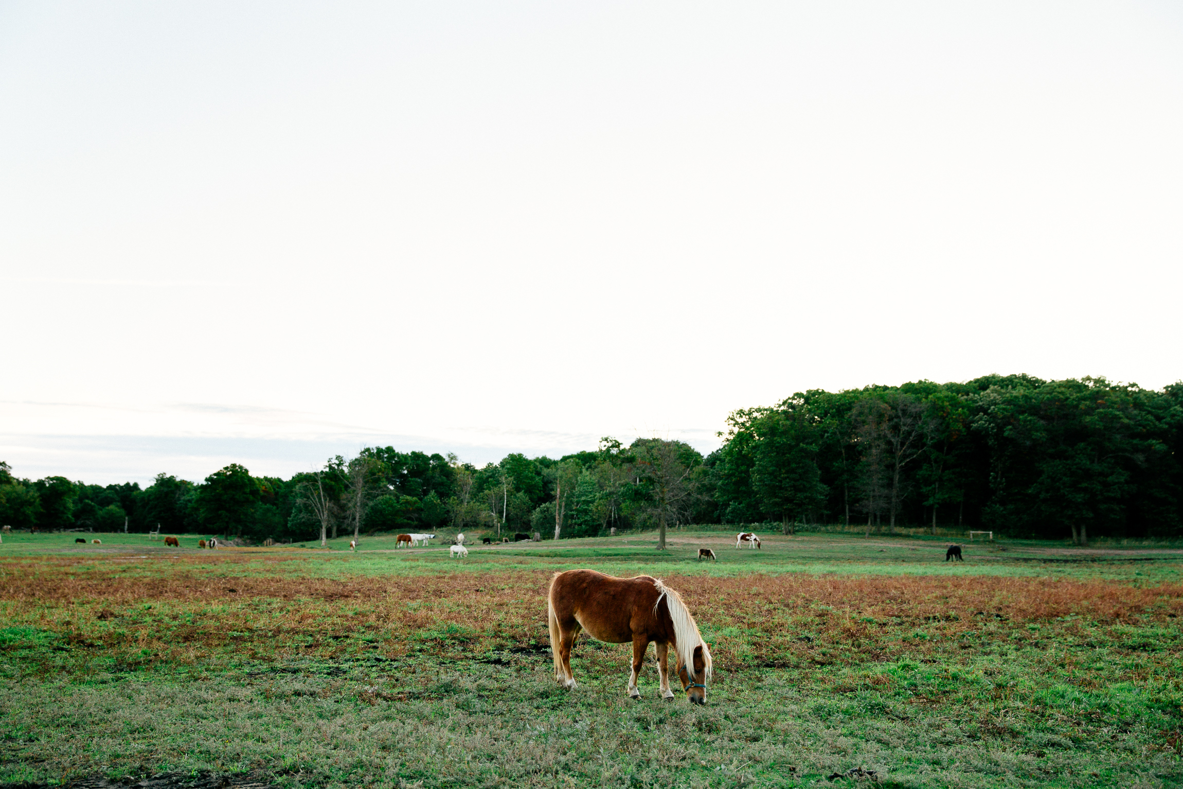 Jen_Montgomery_Photography_TorryBlog-25.jpg