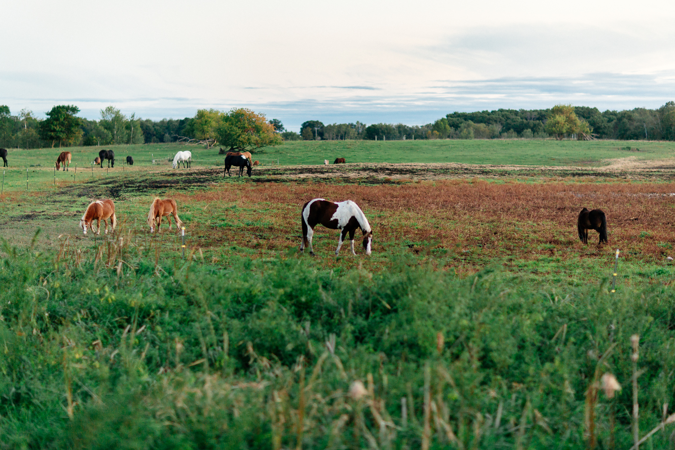 Jen_Montgomery_Photography_TorryBlog.jpg