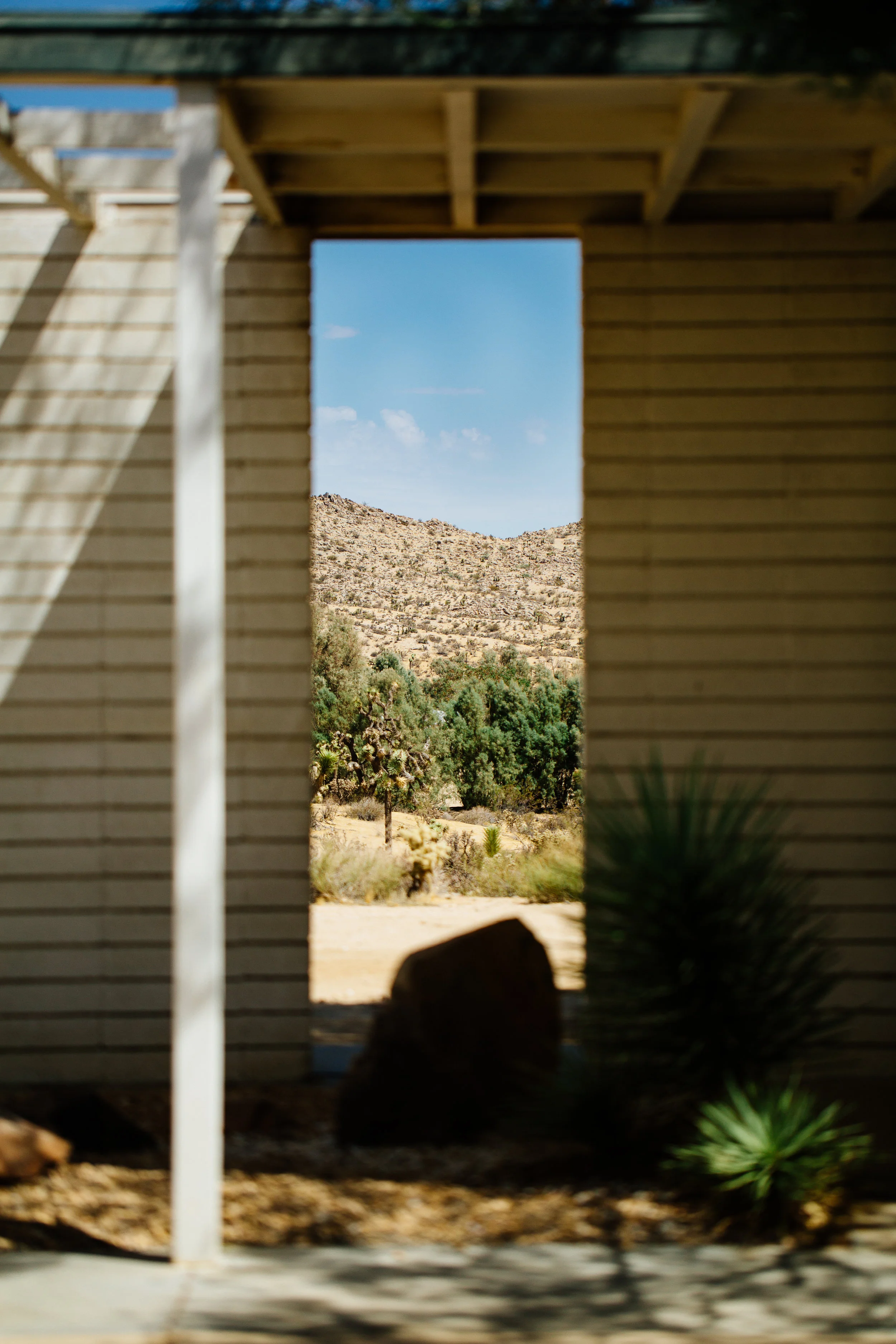 Jen_Montgomery_Photography_lastdayJTLG-41.jpg