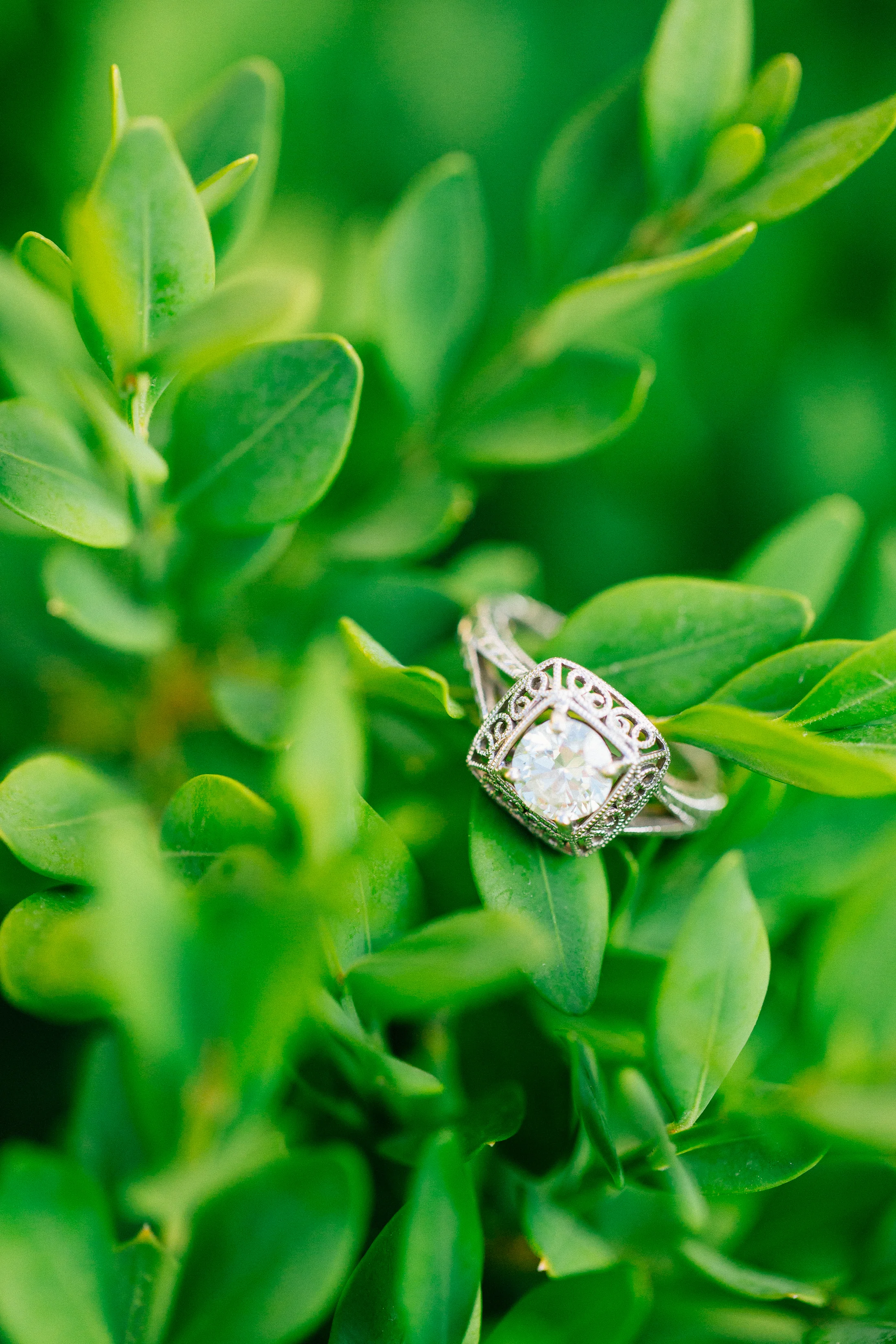 Jen_Montgomery_Photography_DanAllissaEngagement-17.jpg