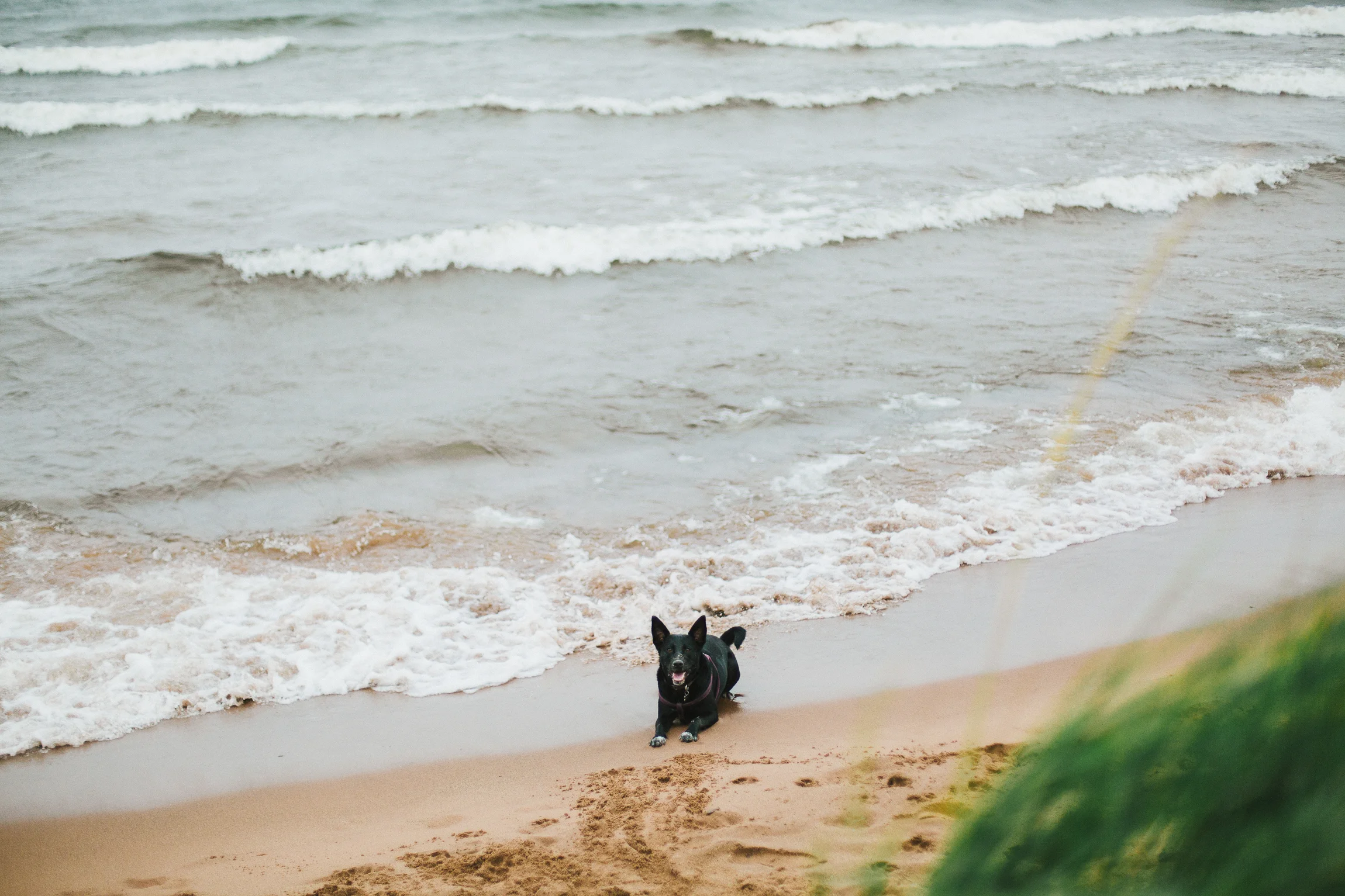 Jen_Montgomery_Photography_northshoreday1-21.jpg