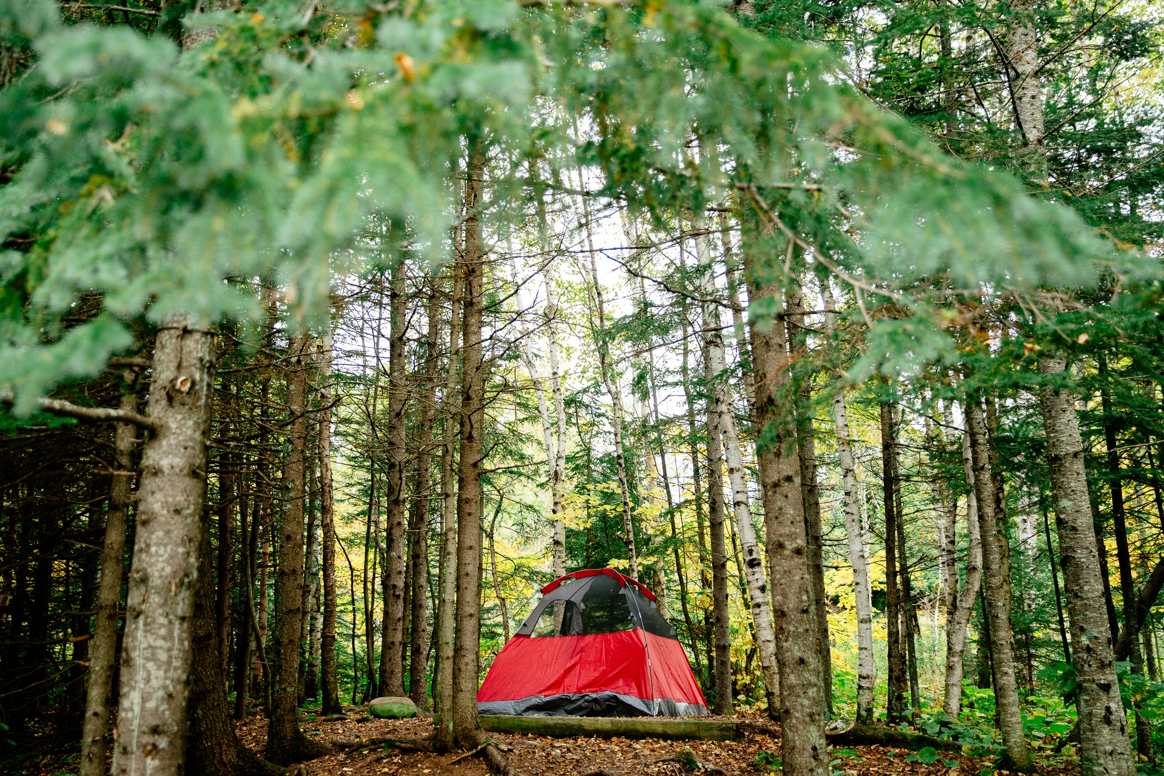 Jen_Montgomery_Photography_northshoreday1-27.jpg