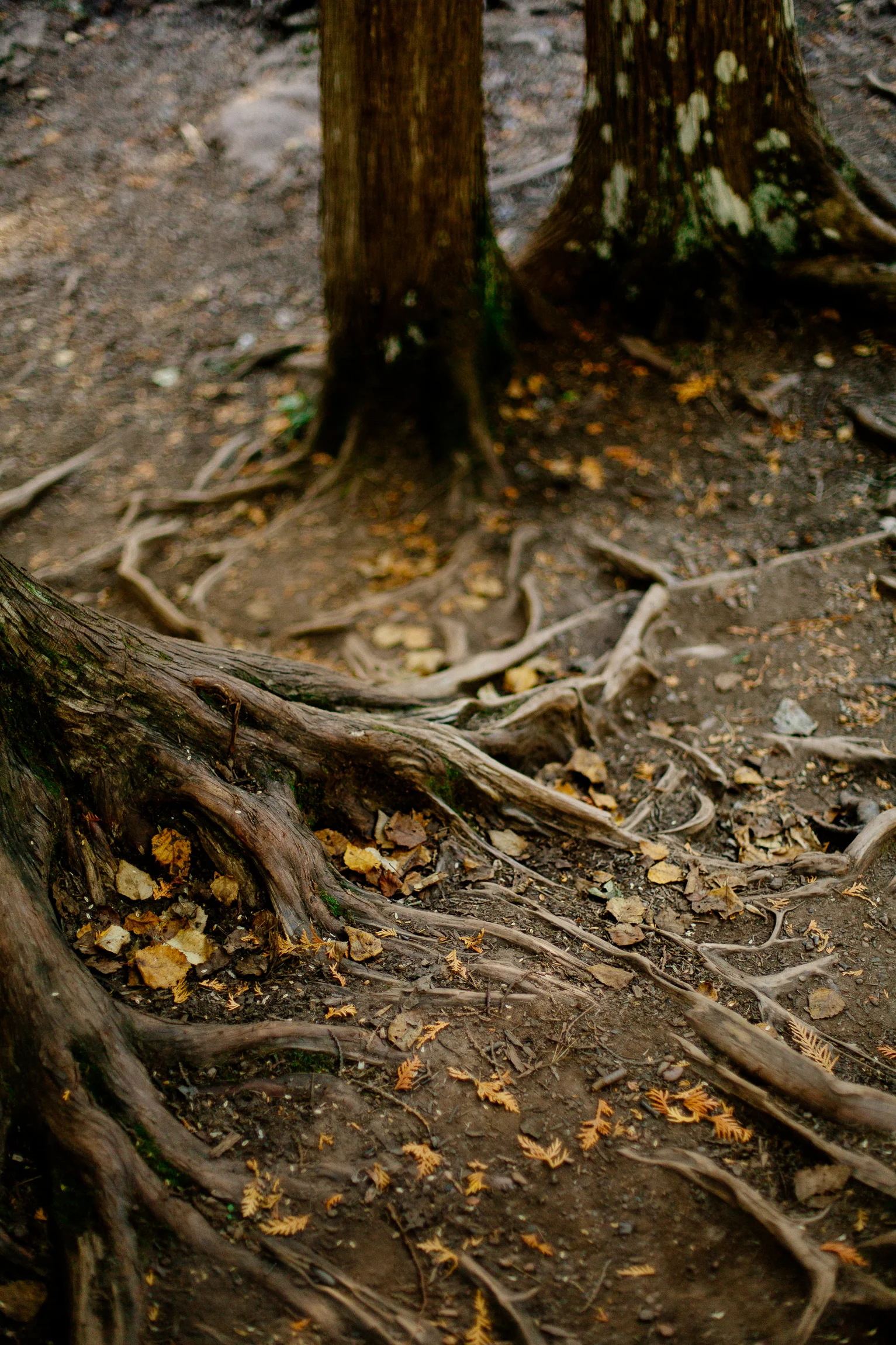 Jen_Montgomery_Photography_Northshoreday3-22.jpg