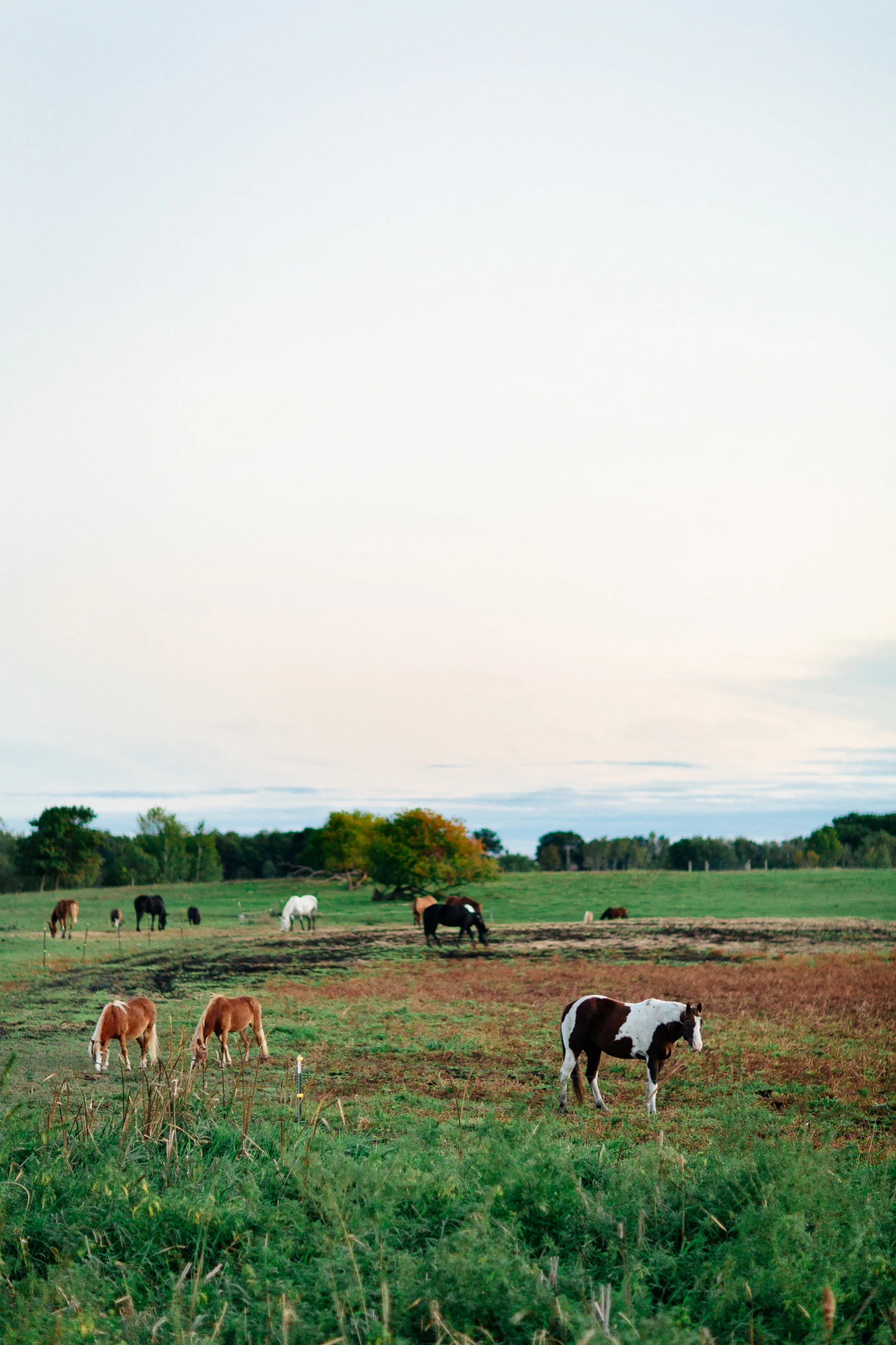 Jen_Montgomery_Photography_TorryBlog-2.jpg