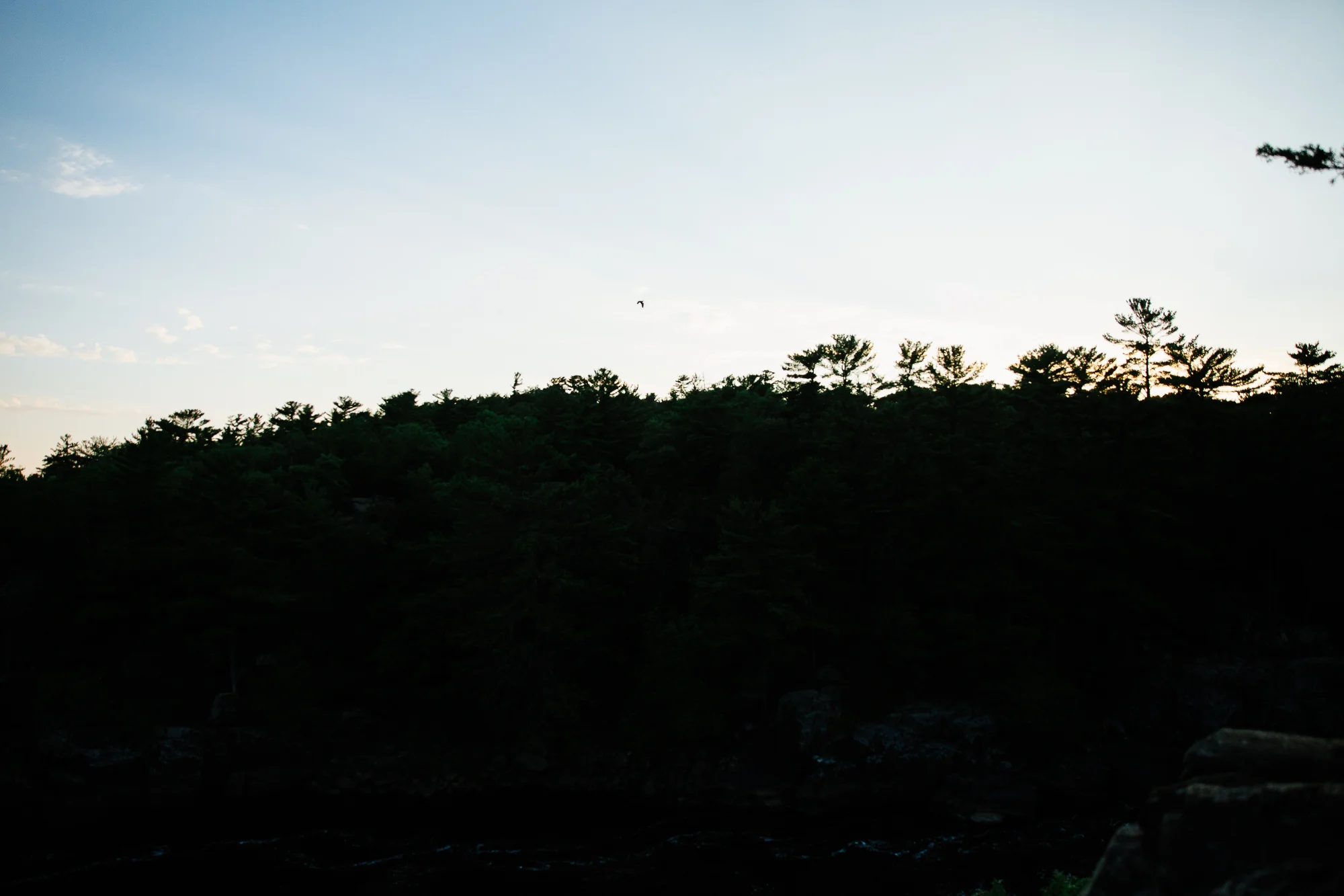 Jen_Montgomery_Photography_Allison&David_Couple_FB-54.jpg