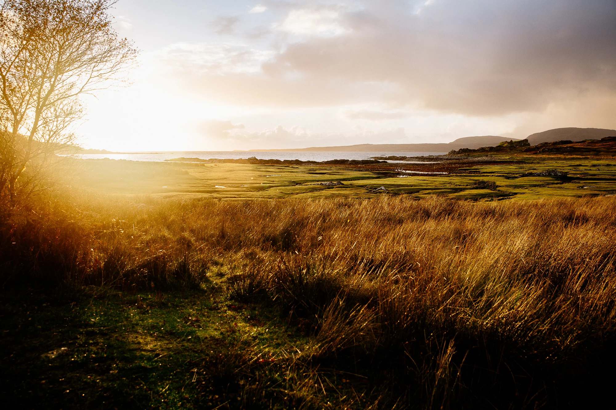 Jen_Montgomery_Photography_Scotland_Wedding_CorrieWill_FB-765.jpg