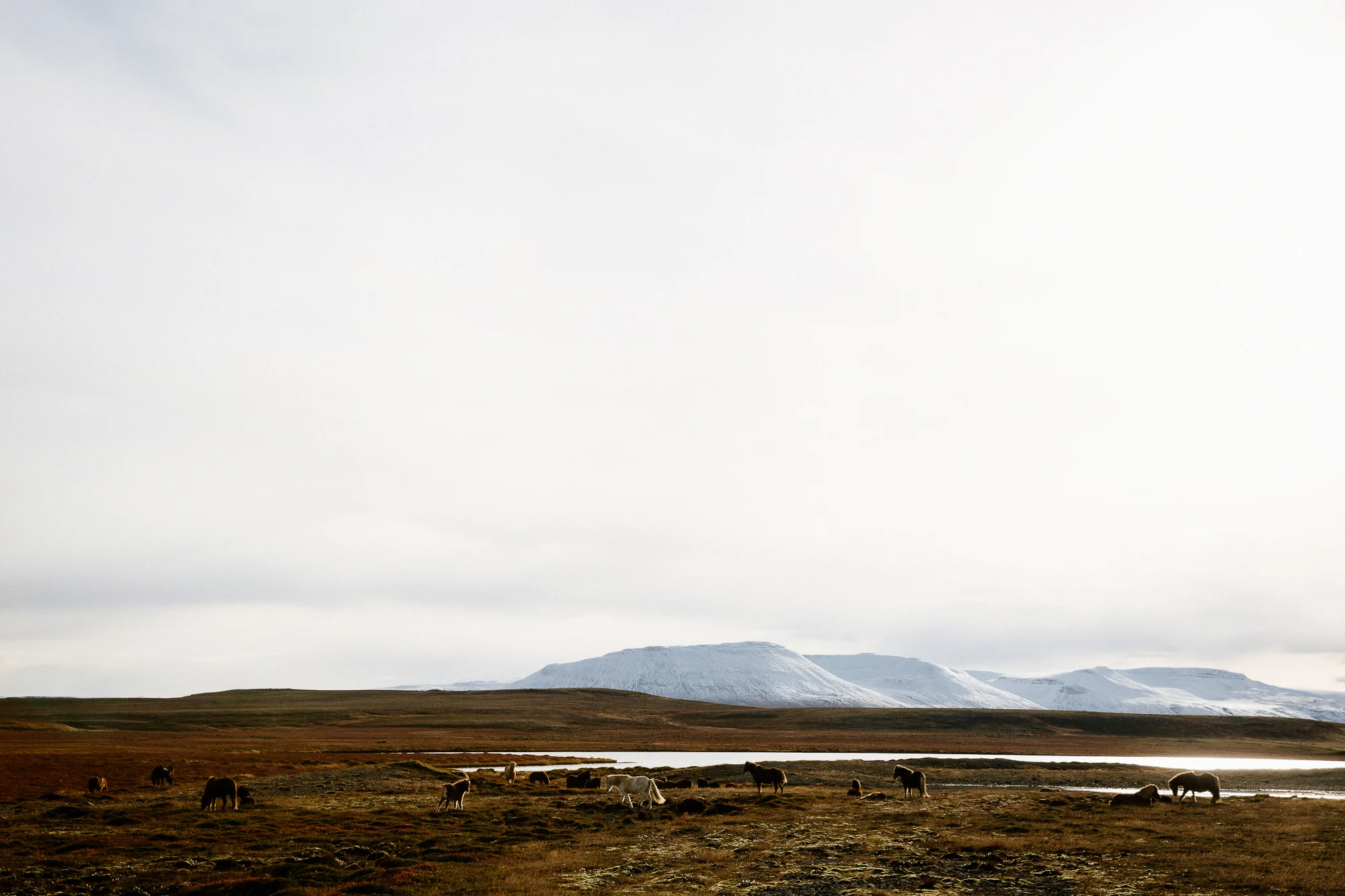 Jen_Montgomery_Photography_AlexJen_LondonIceland_Fb-53.jpg