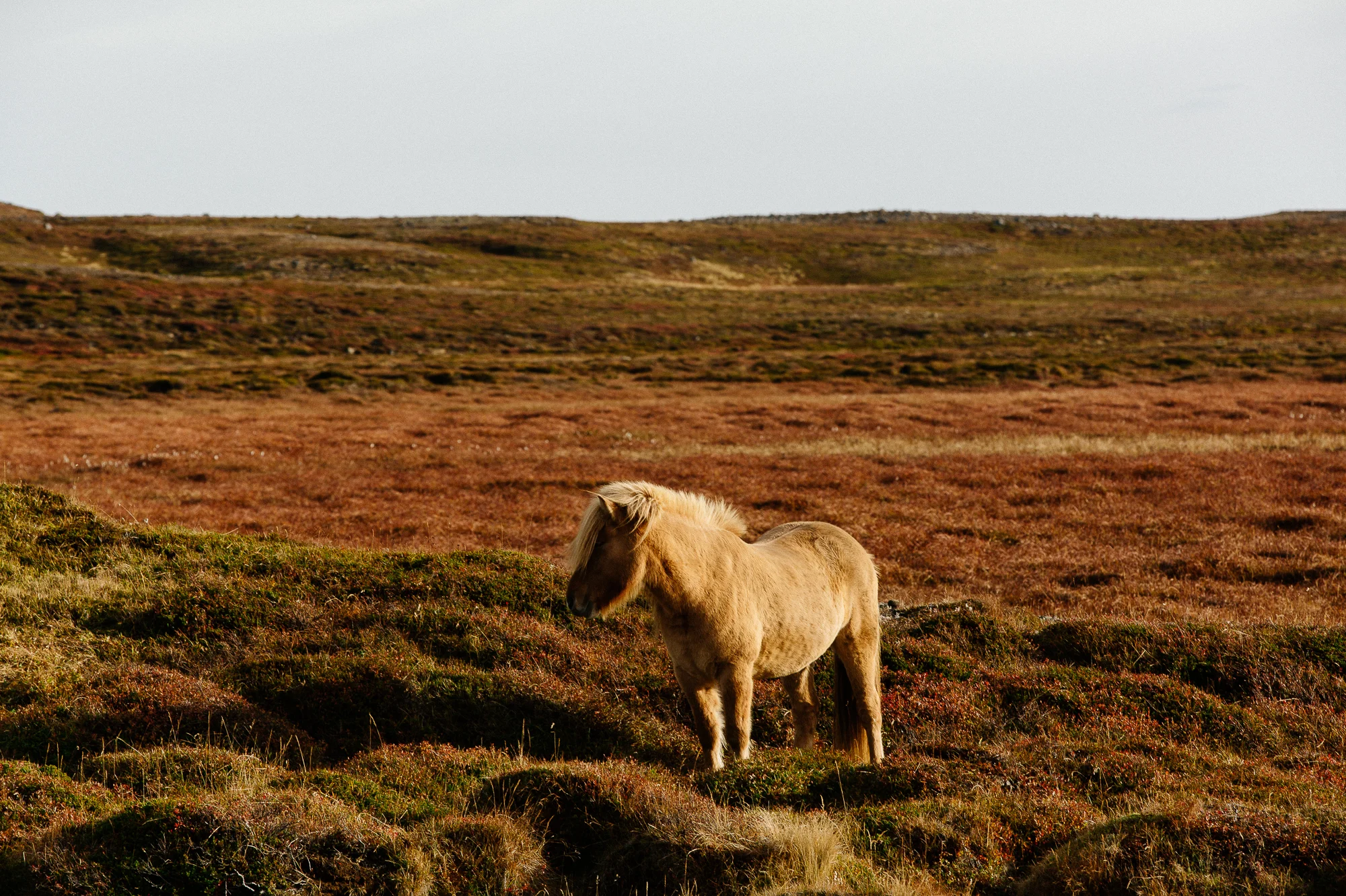 Jen_Montgomery_Photography_AlexJen_LondonIceland_Fb-63.jpg