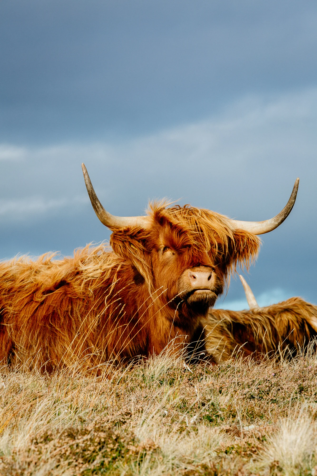 Jen_Montgomery_Photography_AlexJen_LondonIceland_Fb-141.jpg