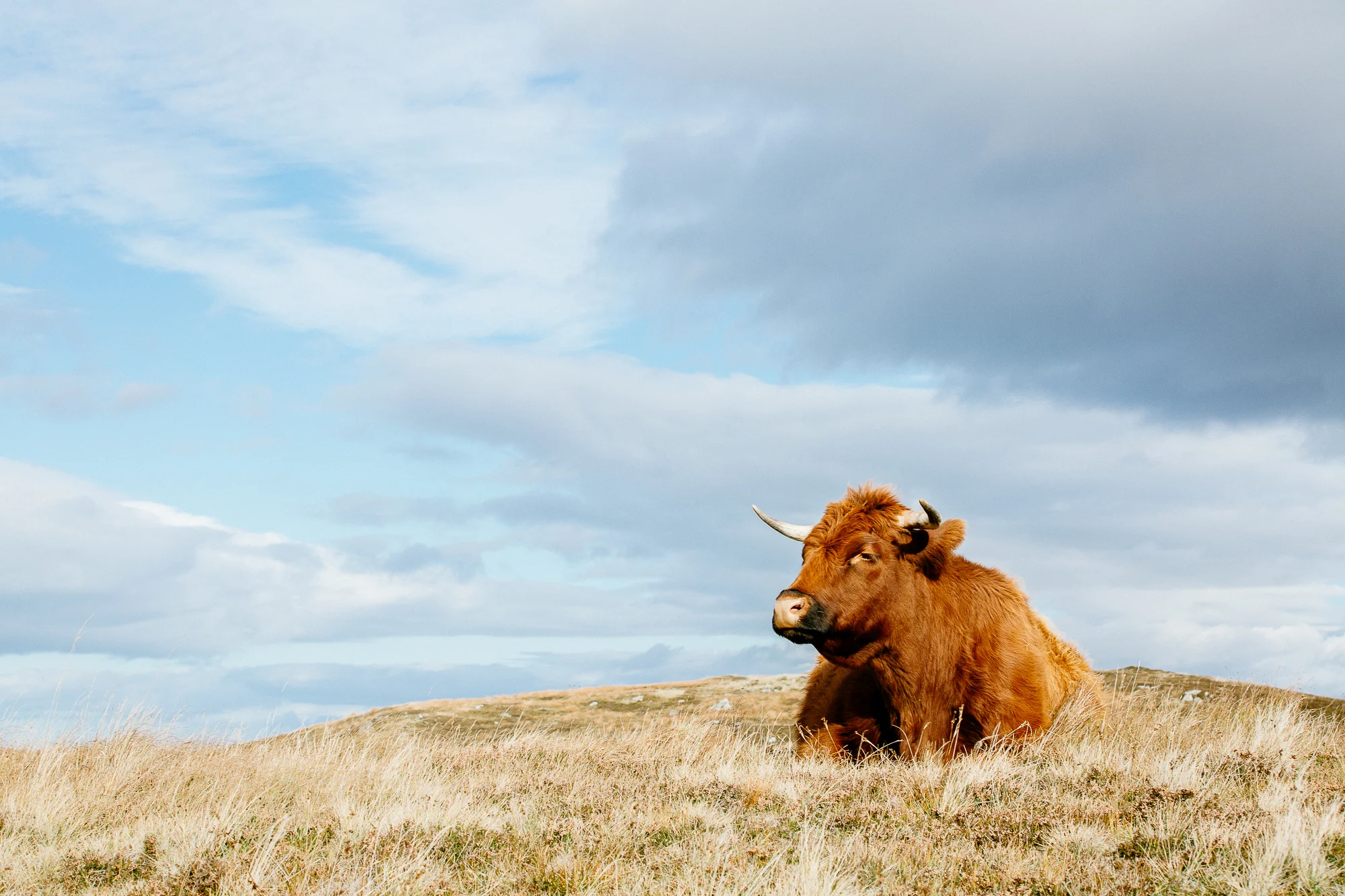Jen_Montgomery_Photography_AlexJen_LondonIceland_Fb-148.jpg