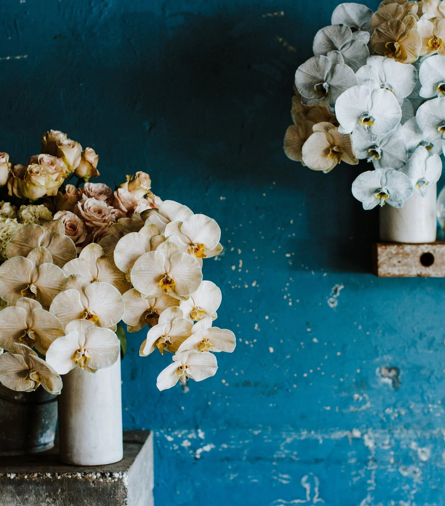 The+Flowerseekers_by_Luisa+Brimble-219.jpg