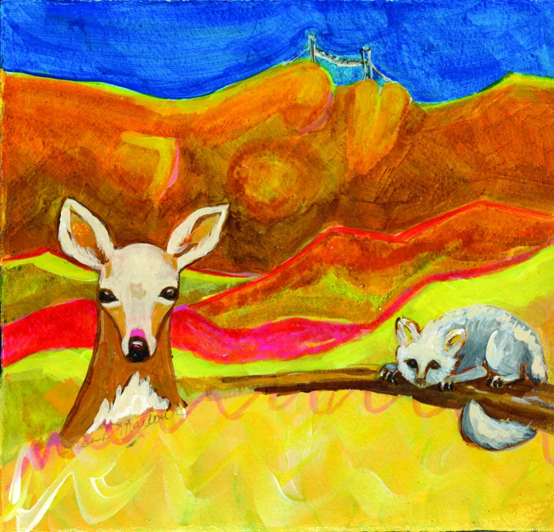 Deer and Opossum