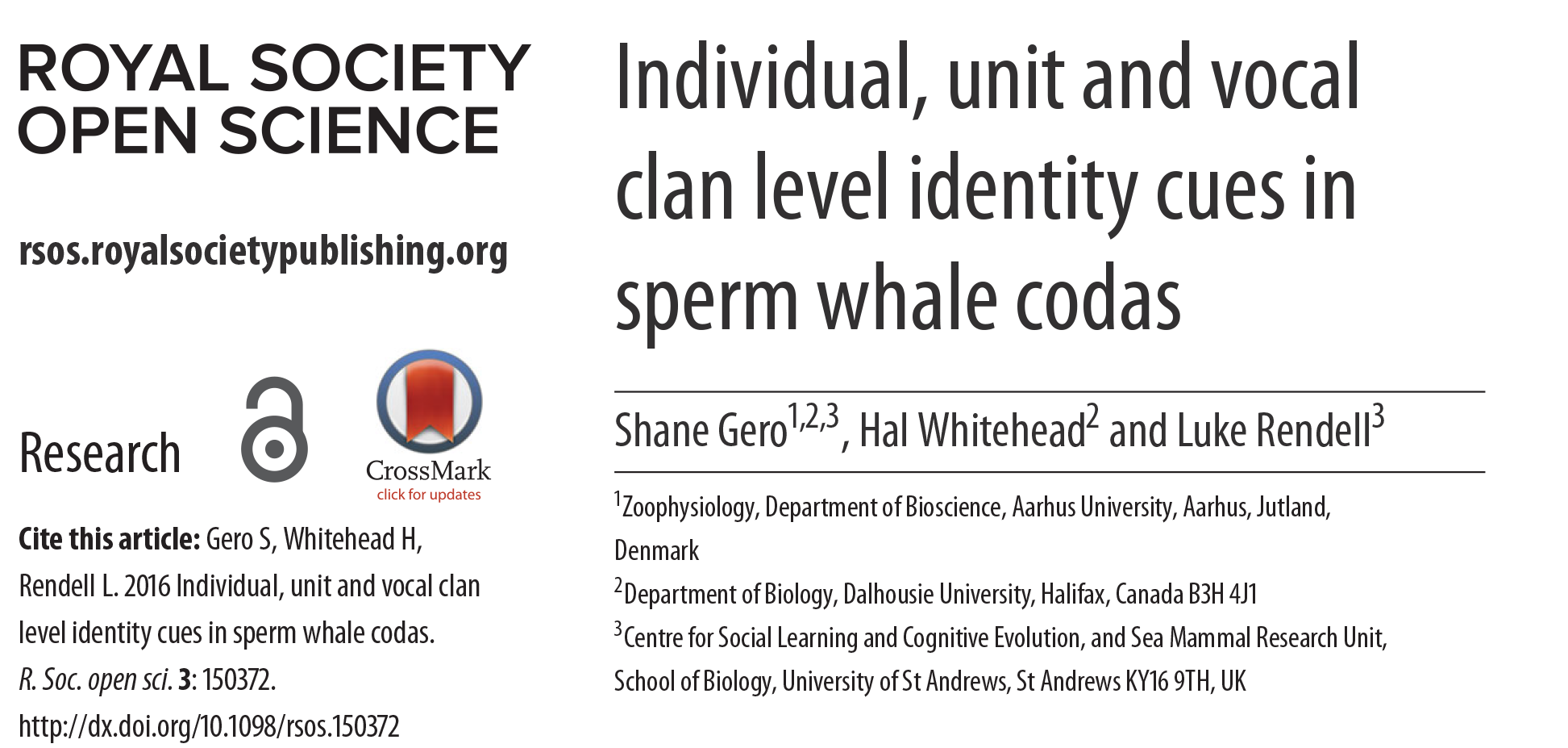 identity cues in sperm whales codas.png
