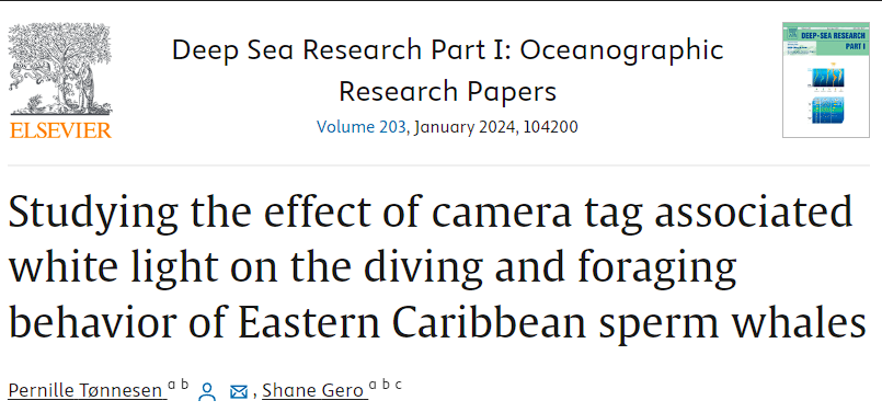 Deep sea reserch camera paper.png