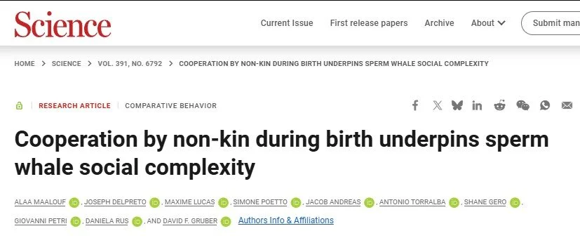 sCIENCE.jpg