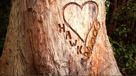 Staging Post Rural Retreat | North Canterbury Accommodation