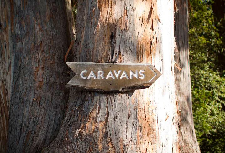 SPcampground-(1).jpg