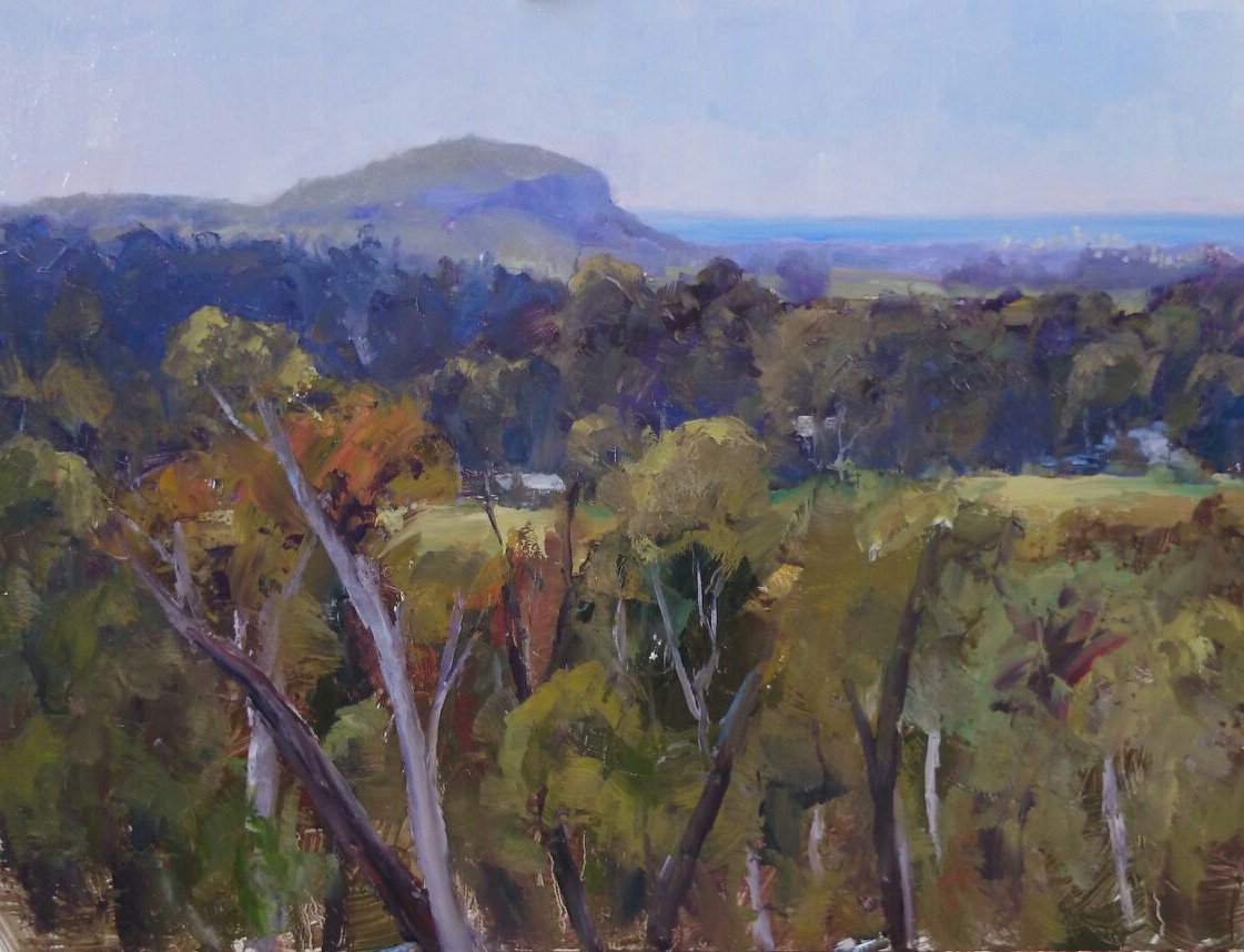 Mt Coolum Haze. Queensland.