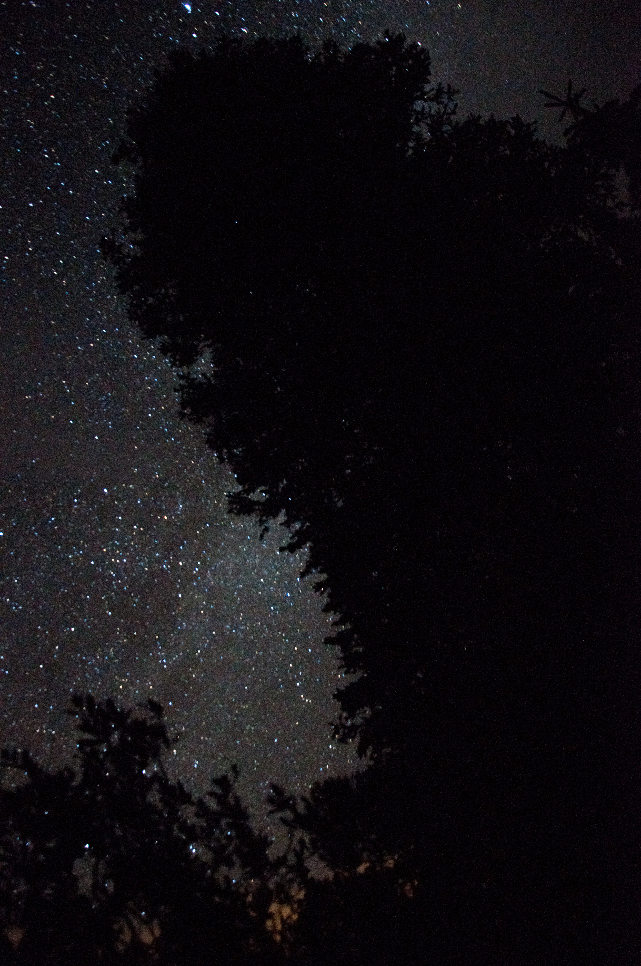 dark skies at Snowmass Lake Campground