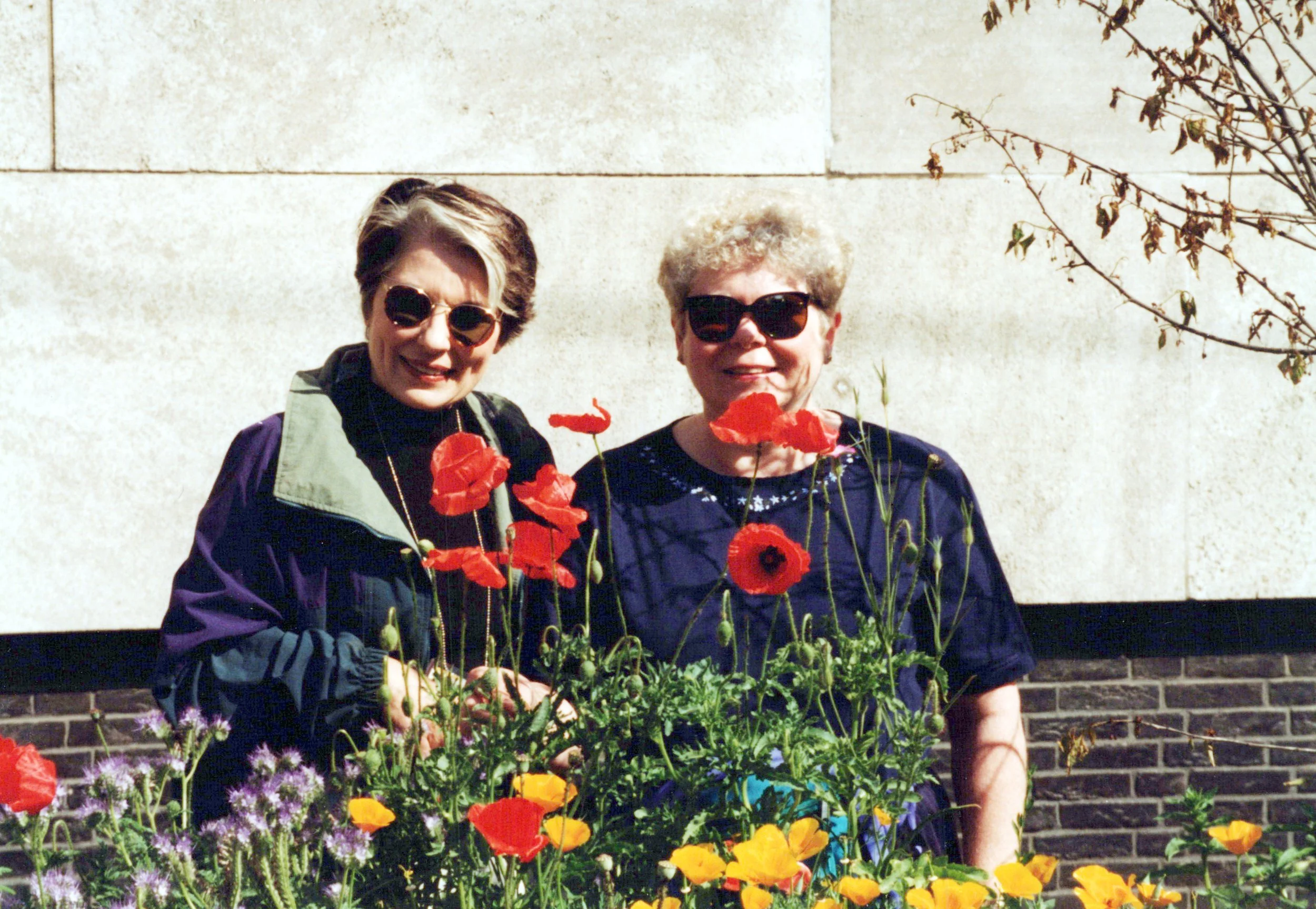 mom mems modern_1996-1.jpg