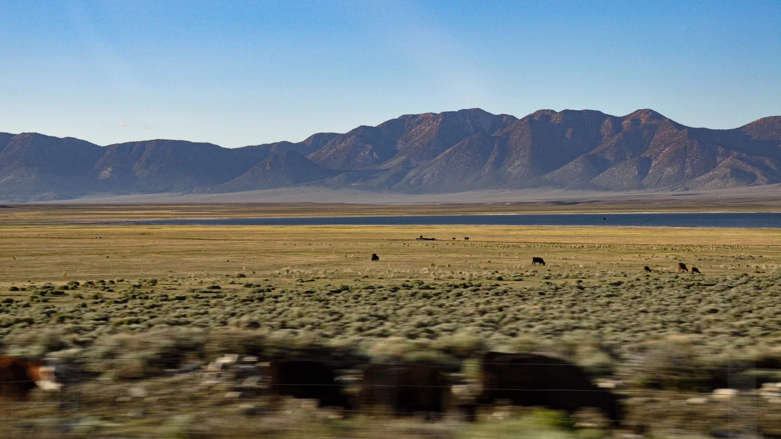 Crowley Lake from 395