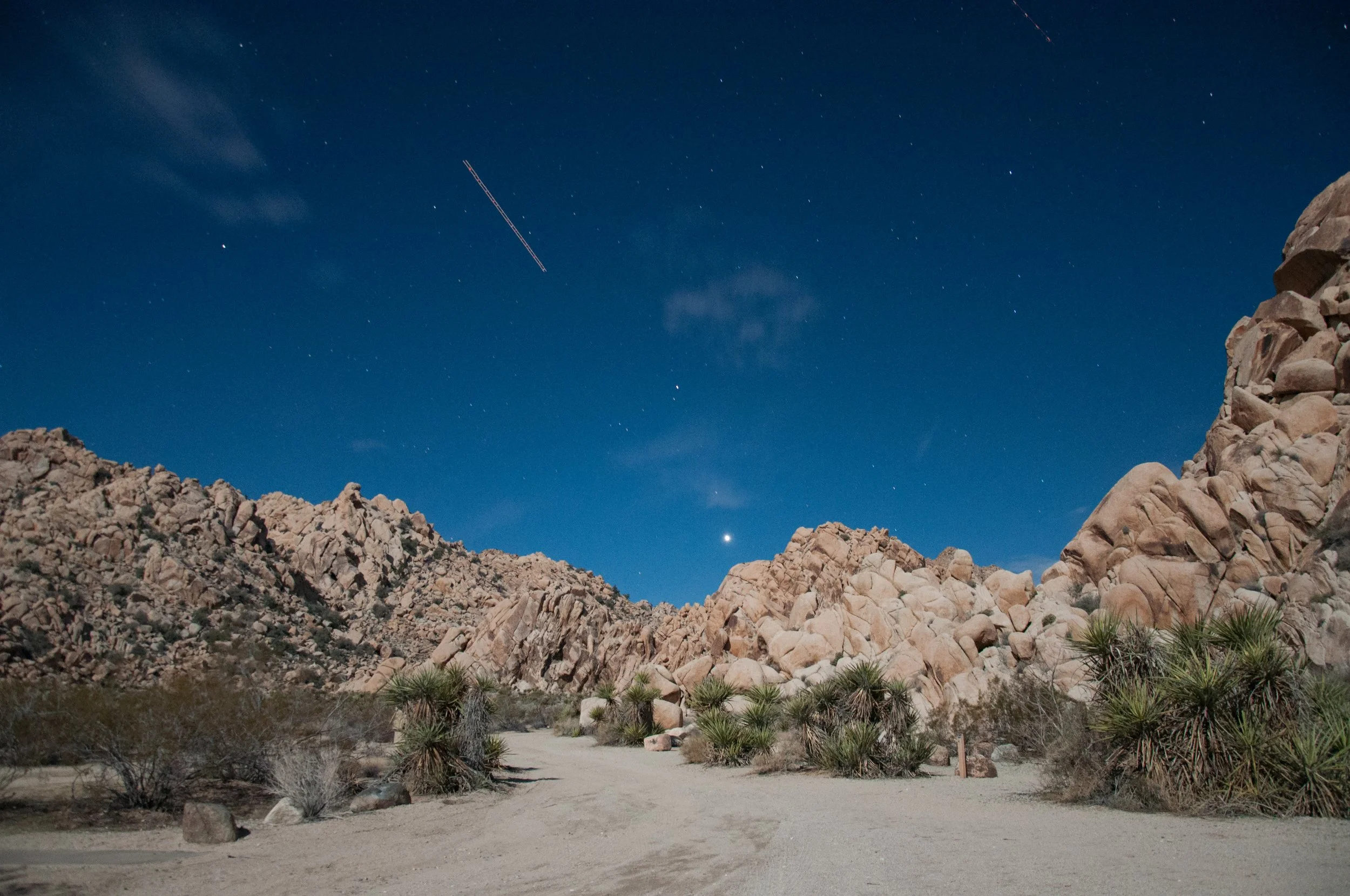 Joshua Tree National Park