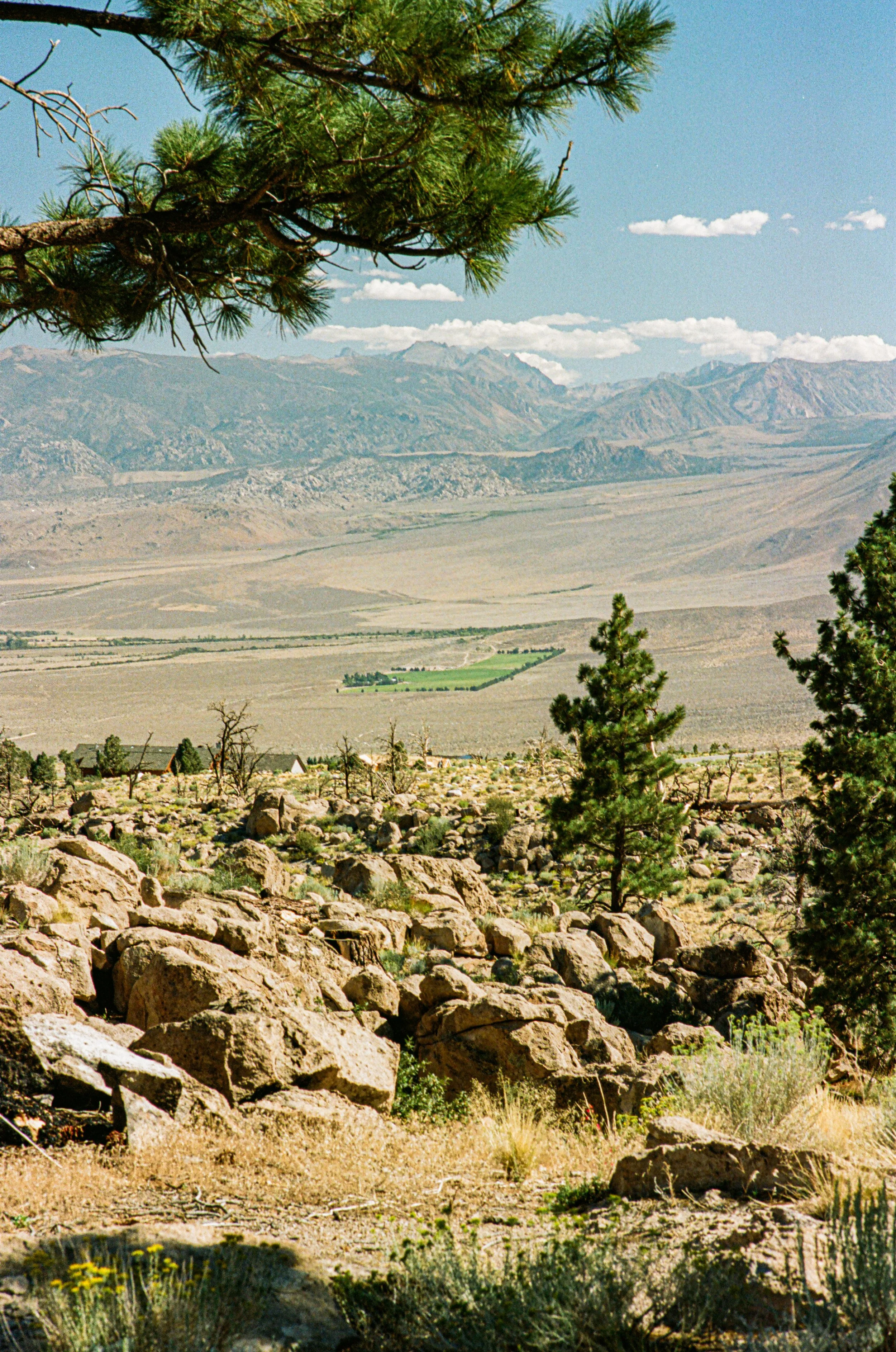 Swall Meadows toward Mt. Tom, eastern Sierras