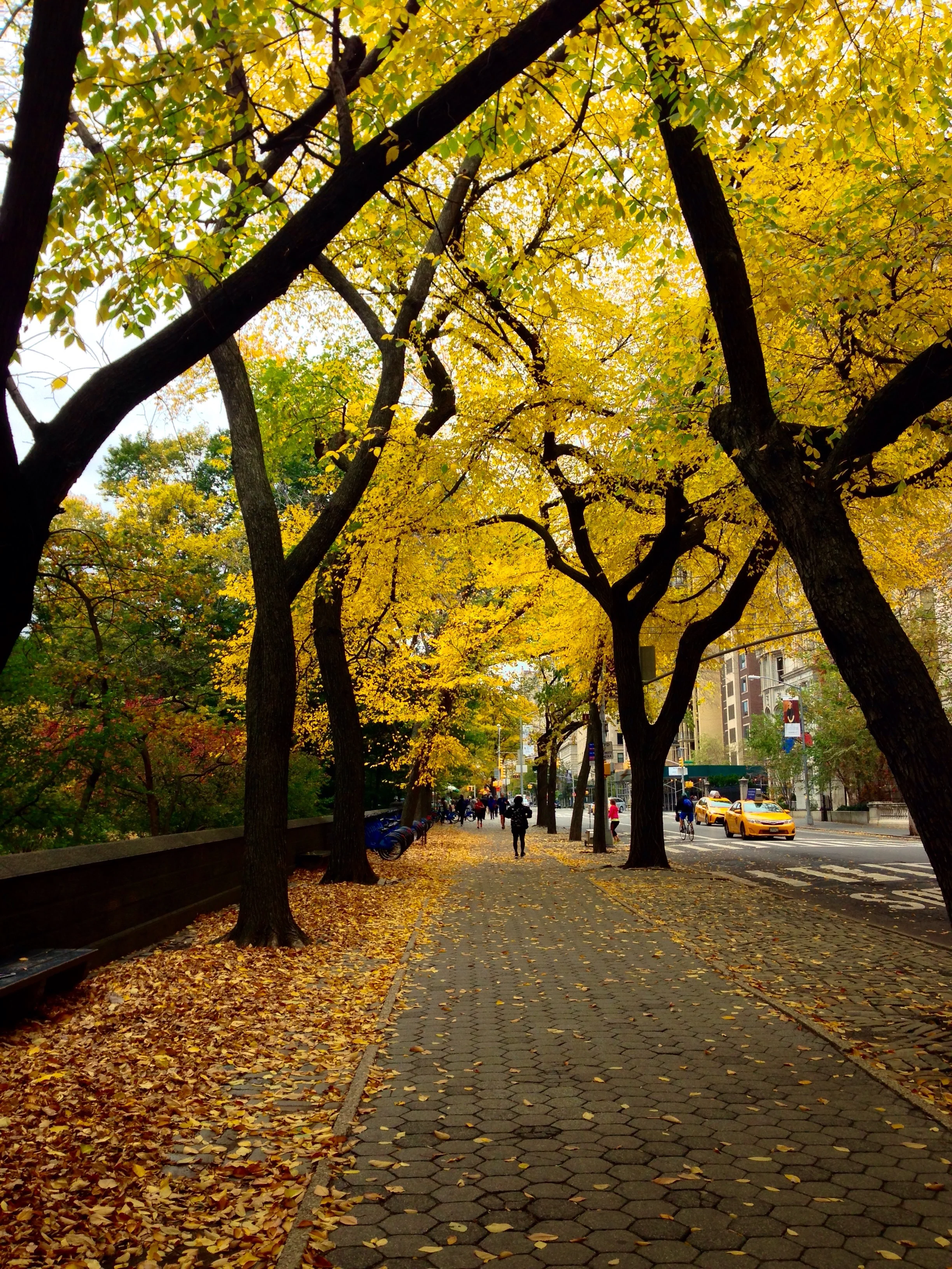 Trees burning a yellow flame