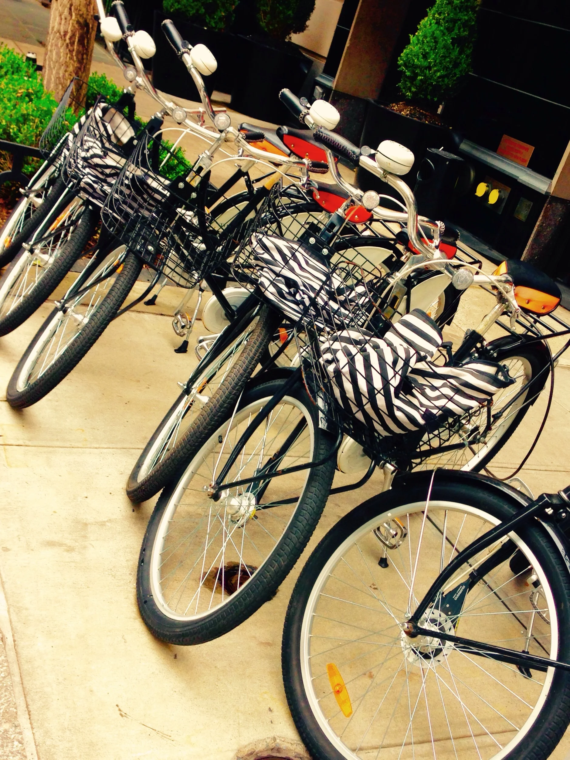 bikes outside The Mark hotel... definitely a nice perk!