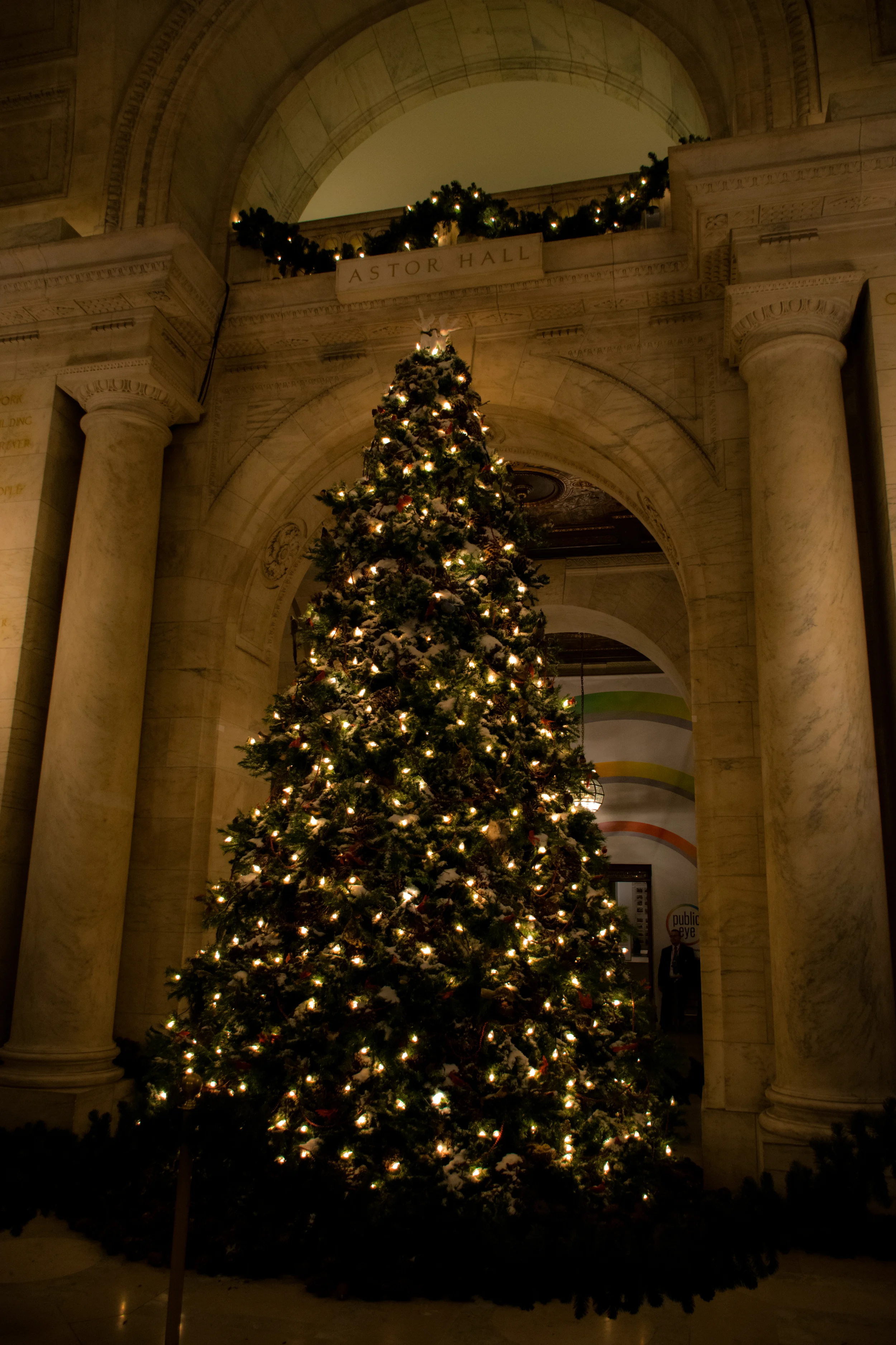 Christmas Trees in New York